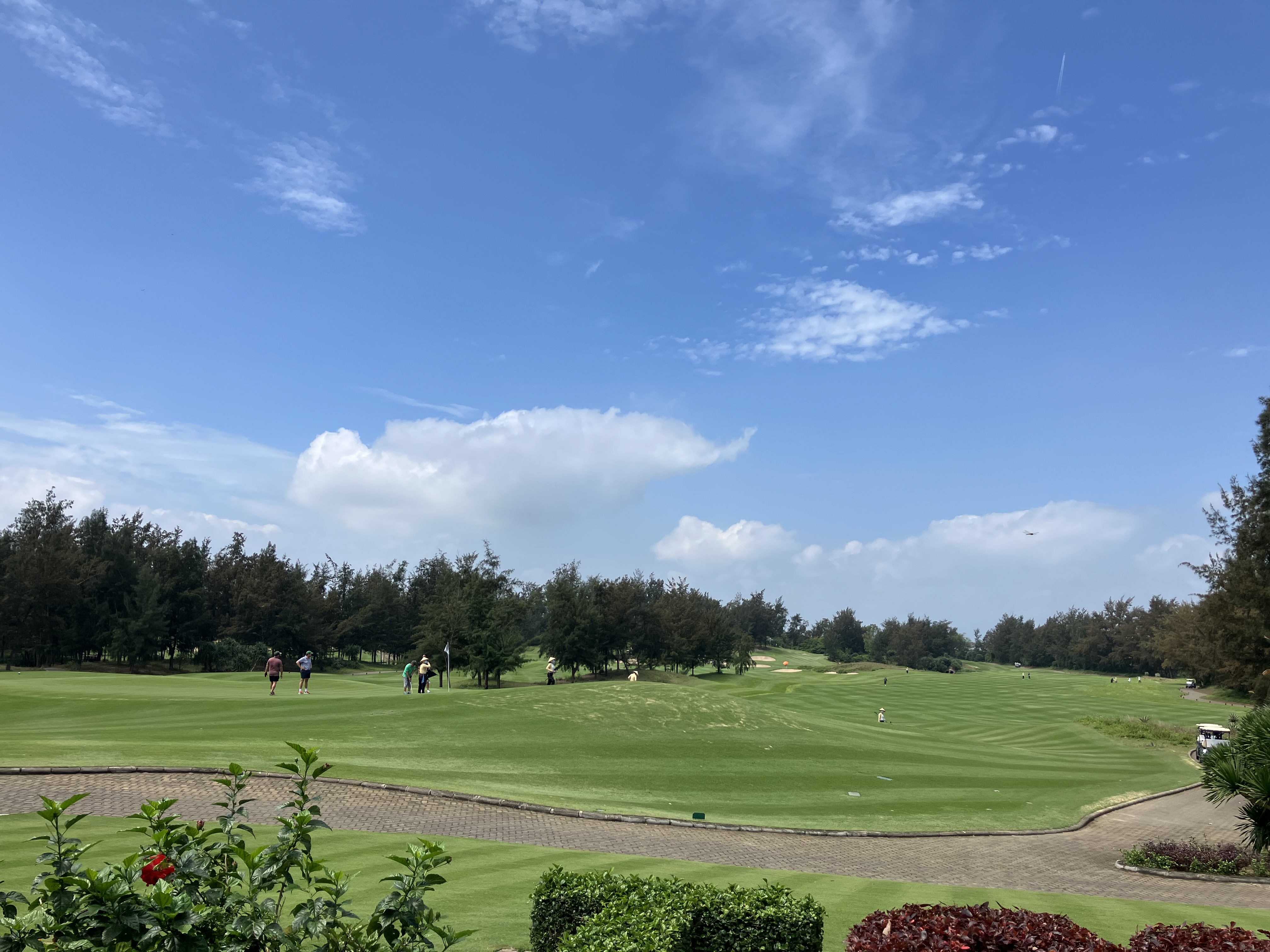 Vietnam de GOLF♬