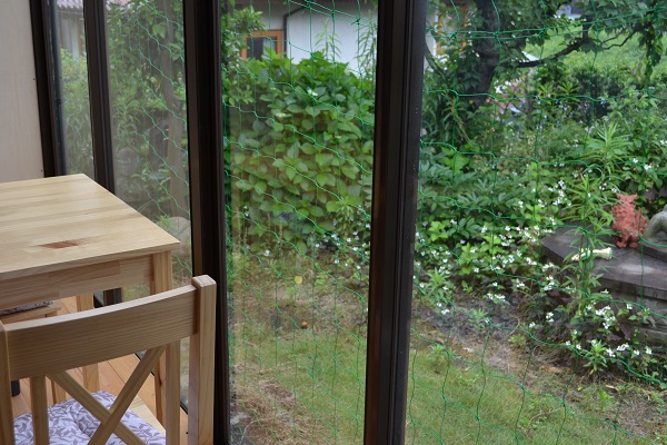 代表のひとりごと