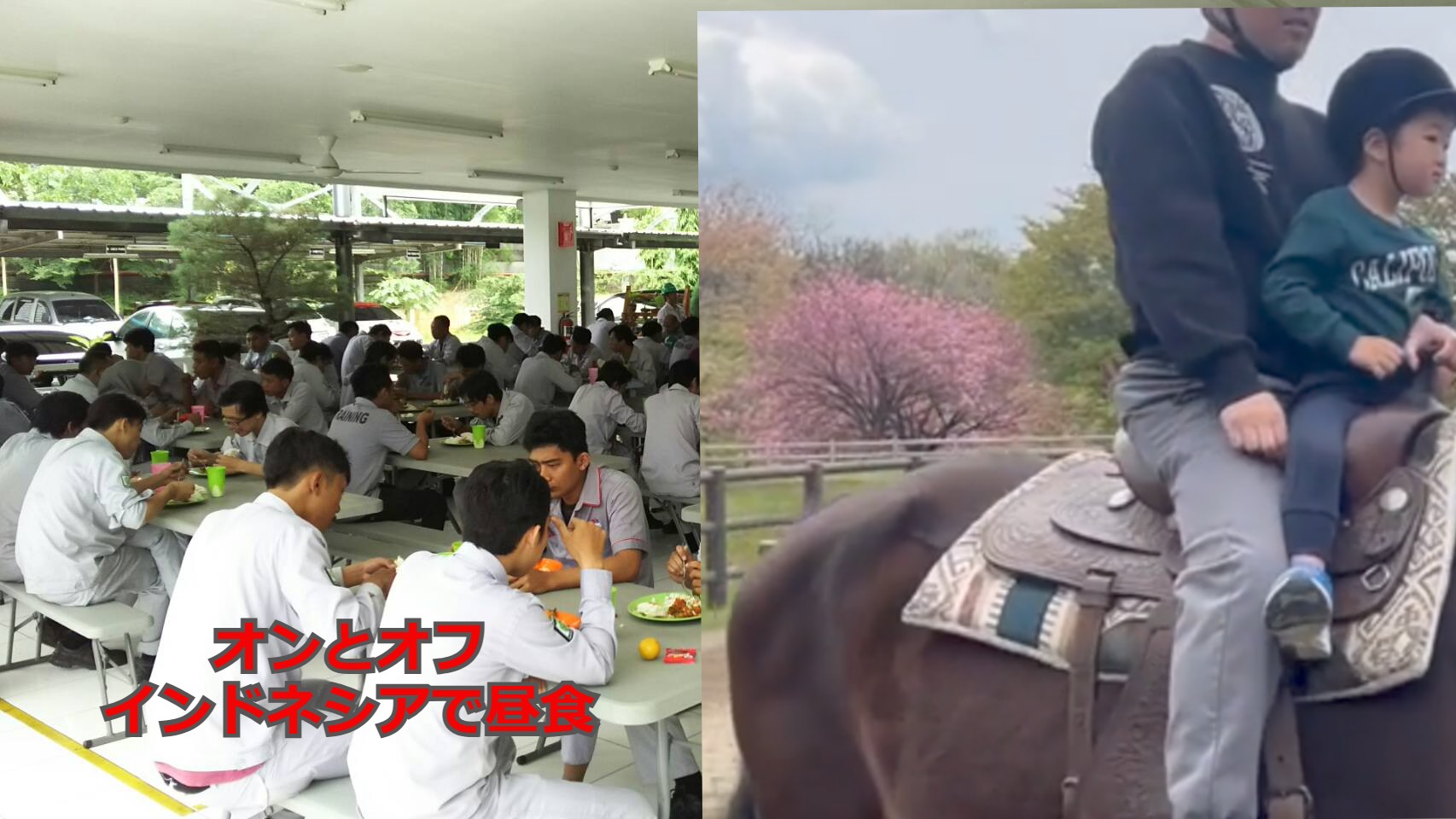 成長環境について