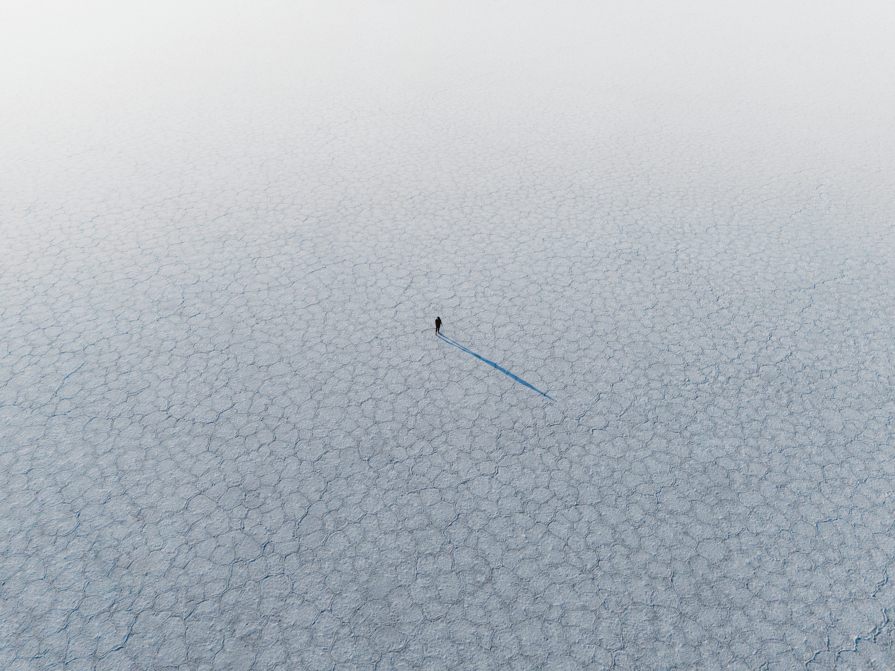 過去を力に、未来を拓く