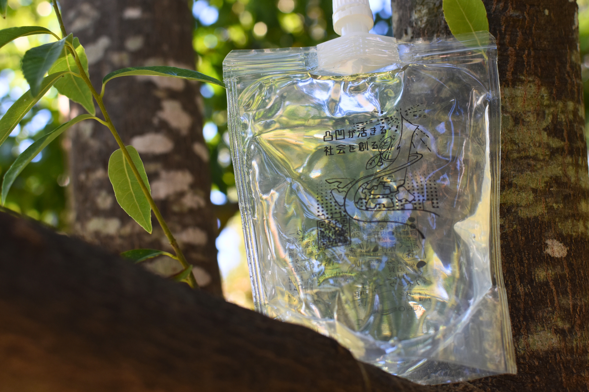 ＼代表松井が語る／「挑戦と変化」が未来を創る～デコボコウォーターから見えるデコボコベースの哲学～