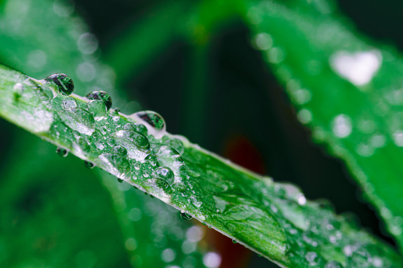 雨と梅雨が教えてくれる働き方のヒント