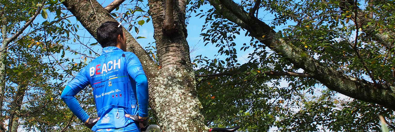 会社の成長と自分の成長を重ね合わせて