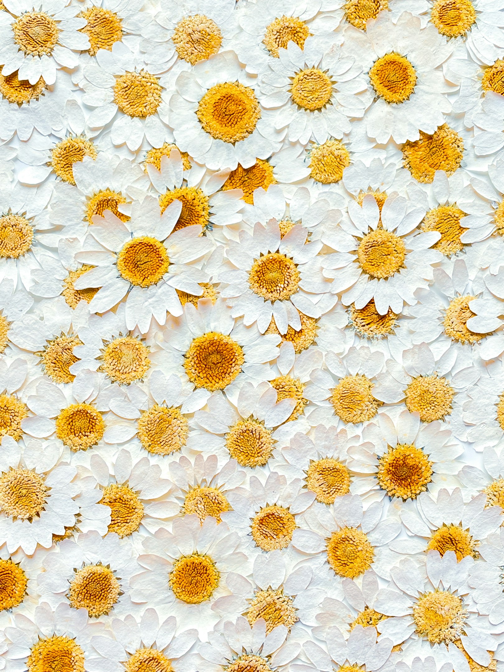 小林を表す3つの言葉