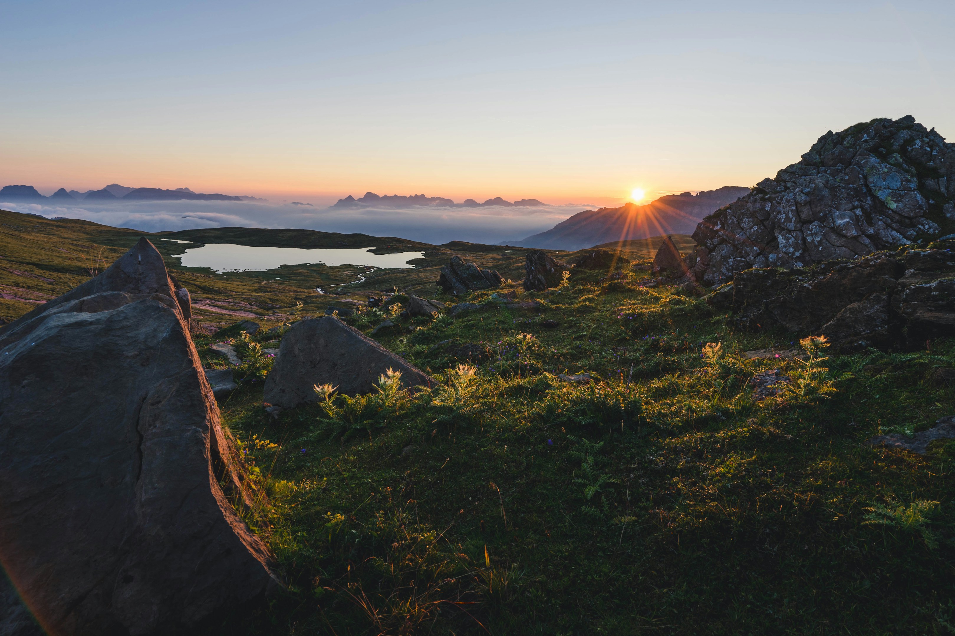 多様性から生まれる、本当のマッチング