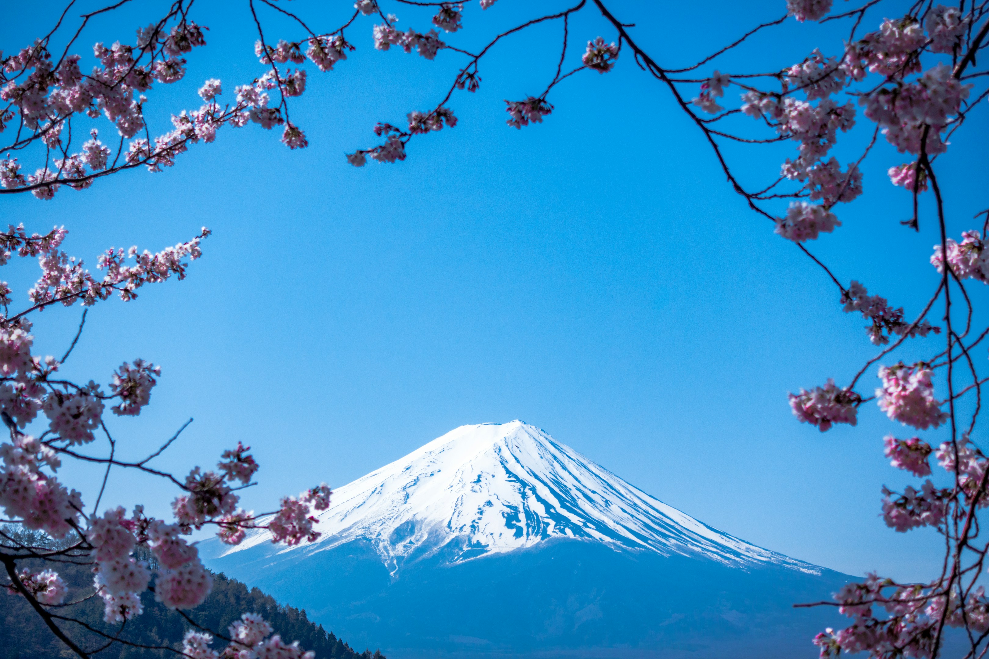 KubeCon + CloudNativeCon Japan 2025 参加速報 - Japan Community Day