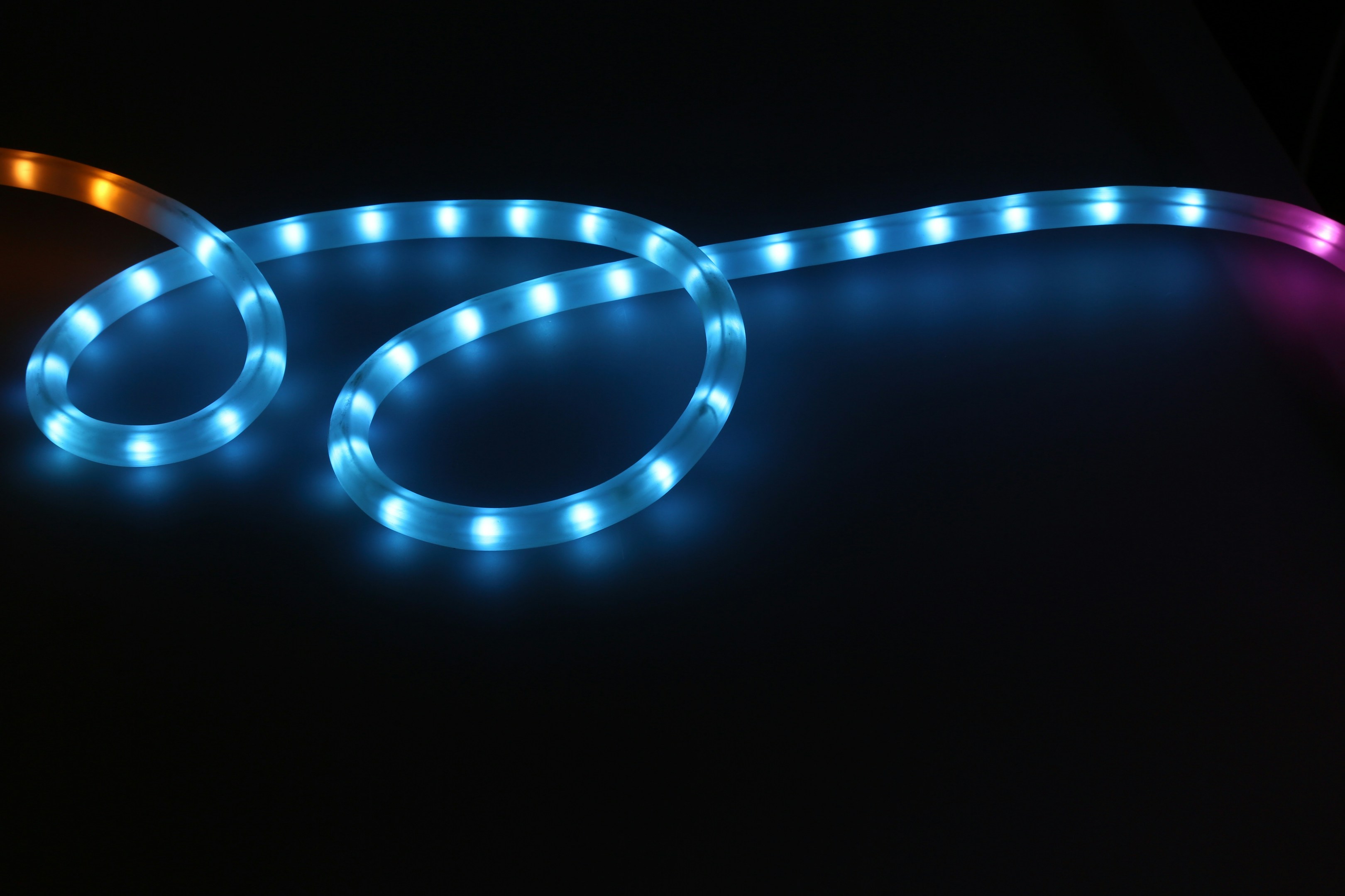LEDじゃなくて…何売り場？街で見つけた誤字
