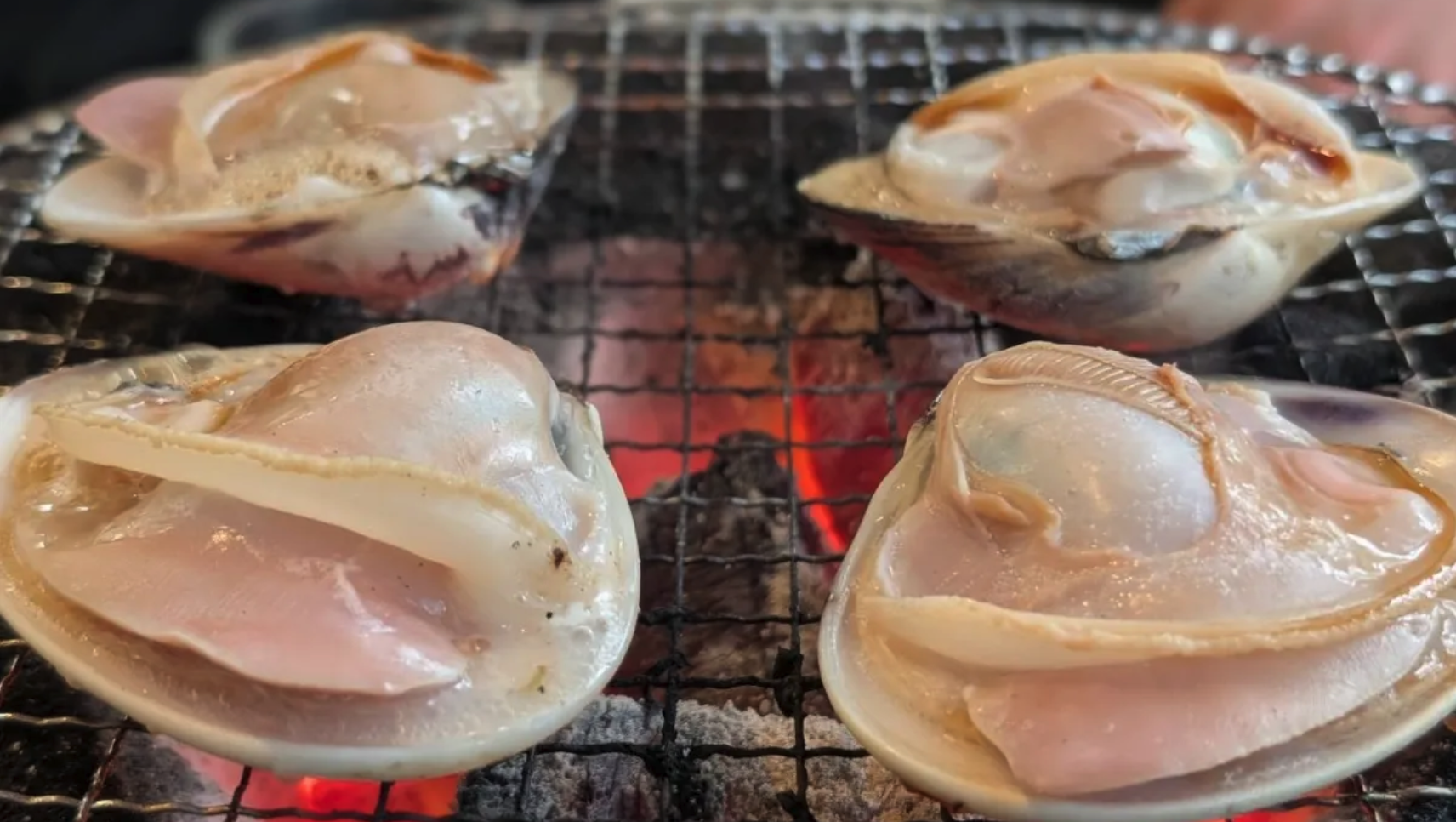 実食レポ：200g超えの茨城産特大ハマグリ