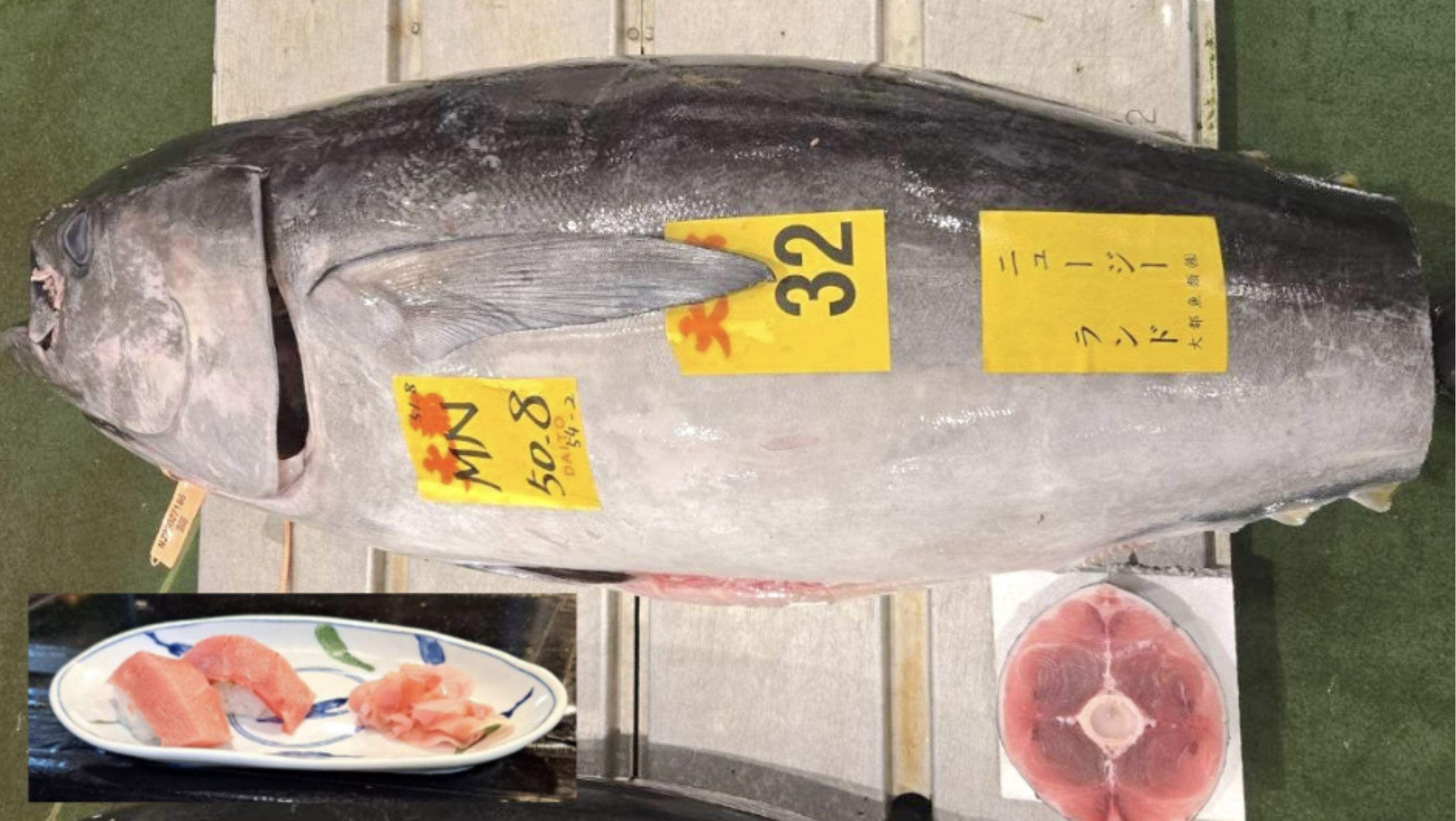 本マグロに並ぶ美味しさ！ミナミマグロを深掘り🔍