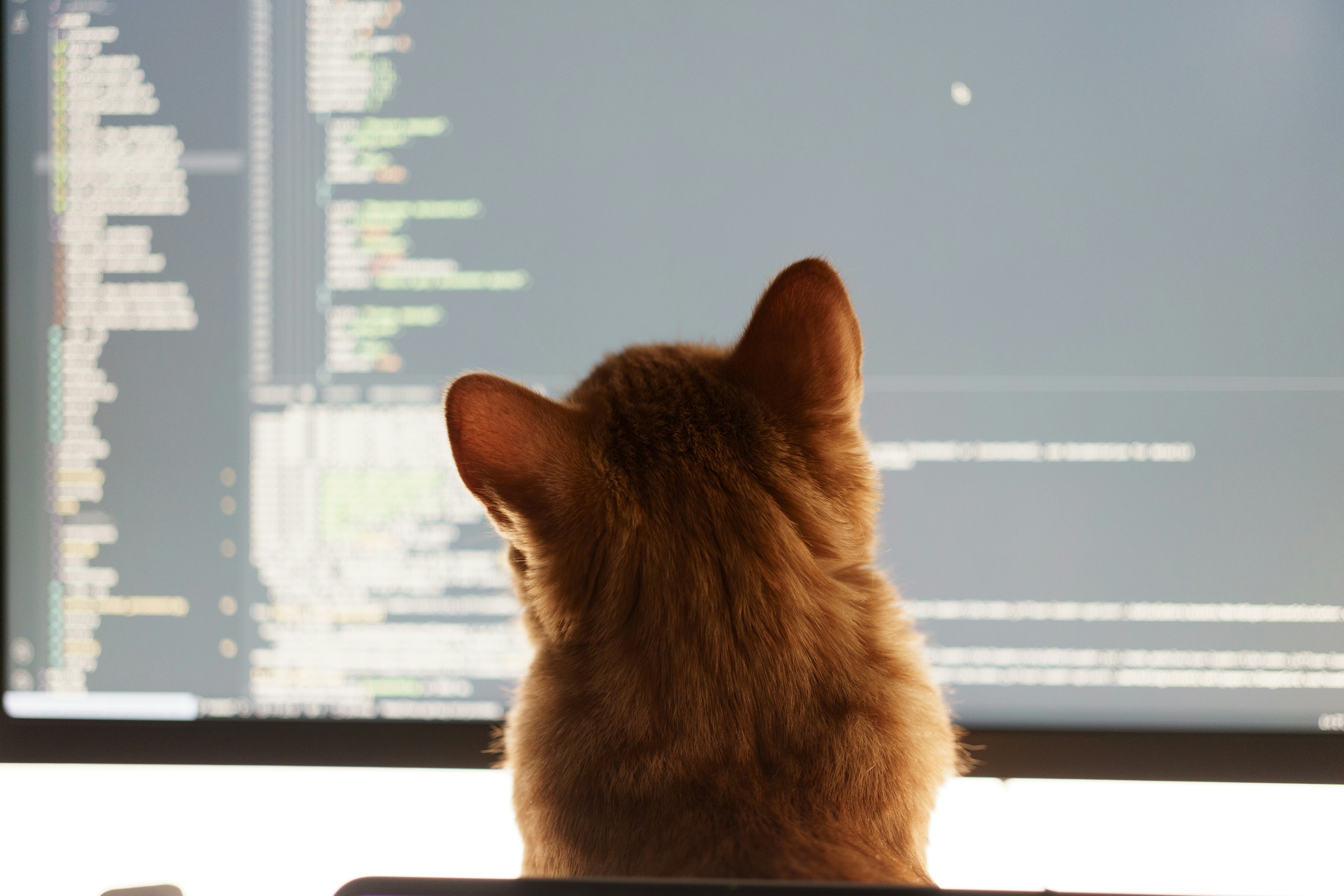 「伝わる」GitHub PRと「育てる」レビューコメントの書き方