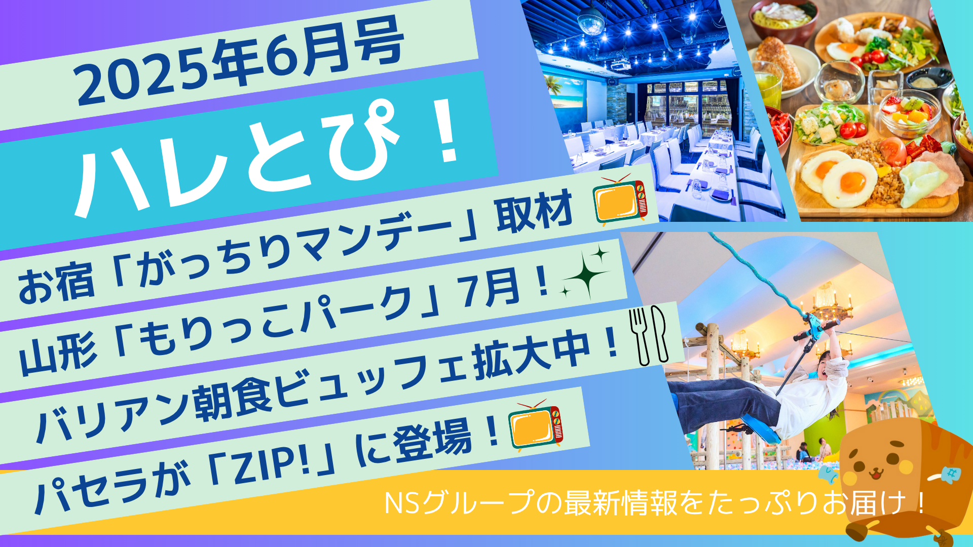 ZIP!・がっちりマンデーにも登場! NSグループの最新「ハレとぴ」を一挙公開！