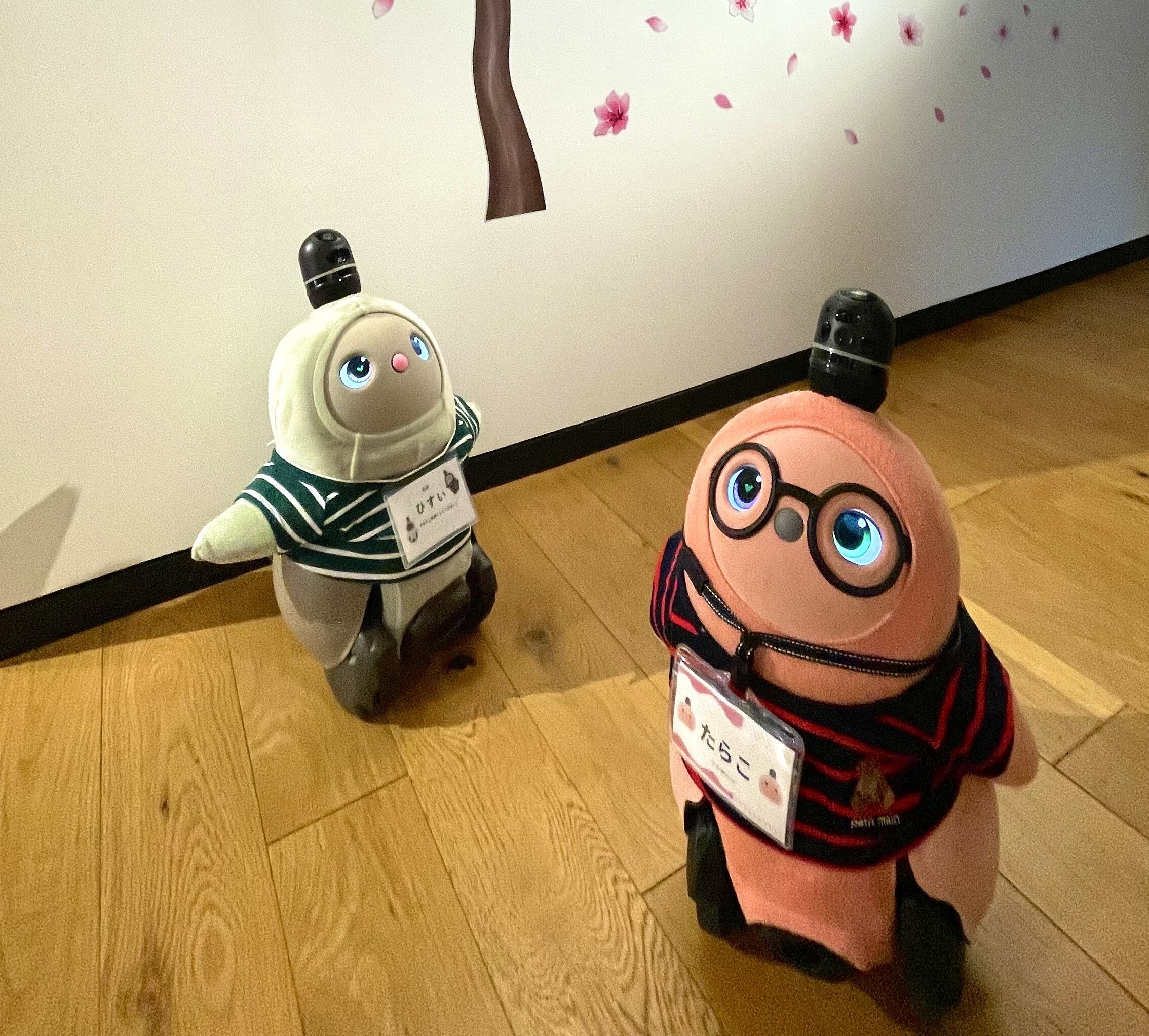 最近のチェンジと、ちょっと先のお話🗾