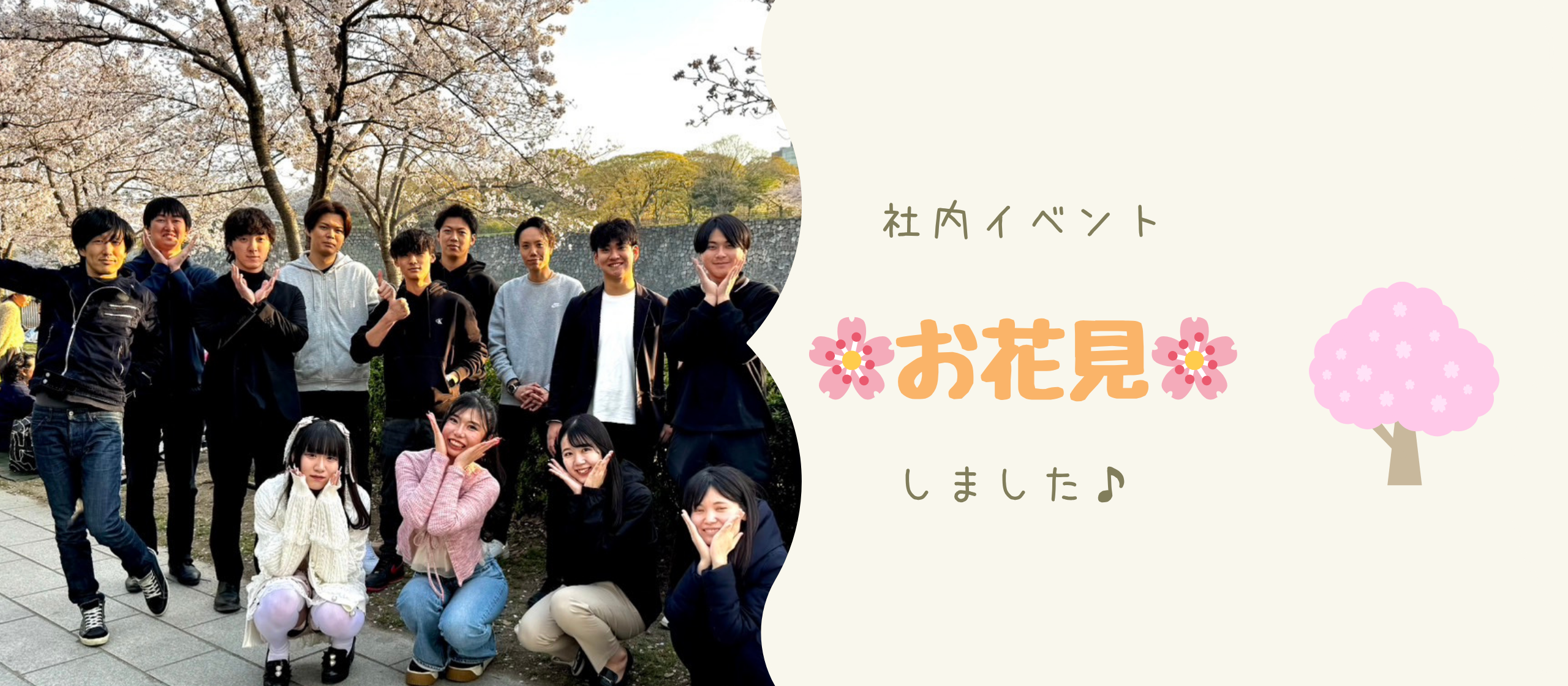 春です！！お花見です！！🌸✨