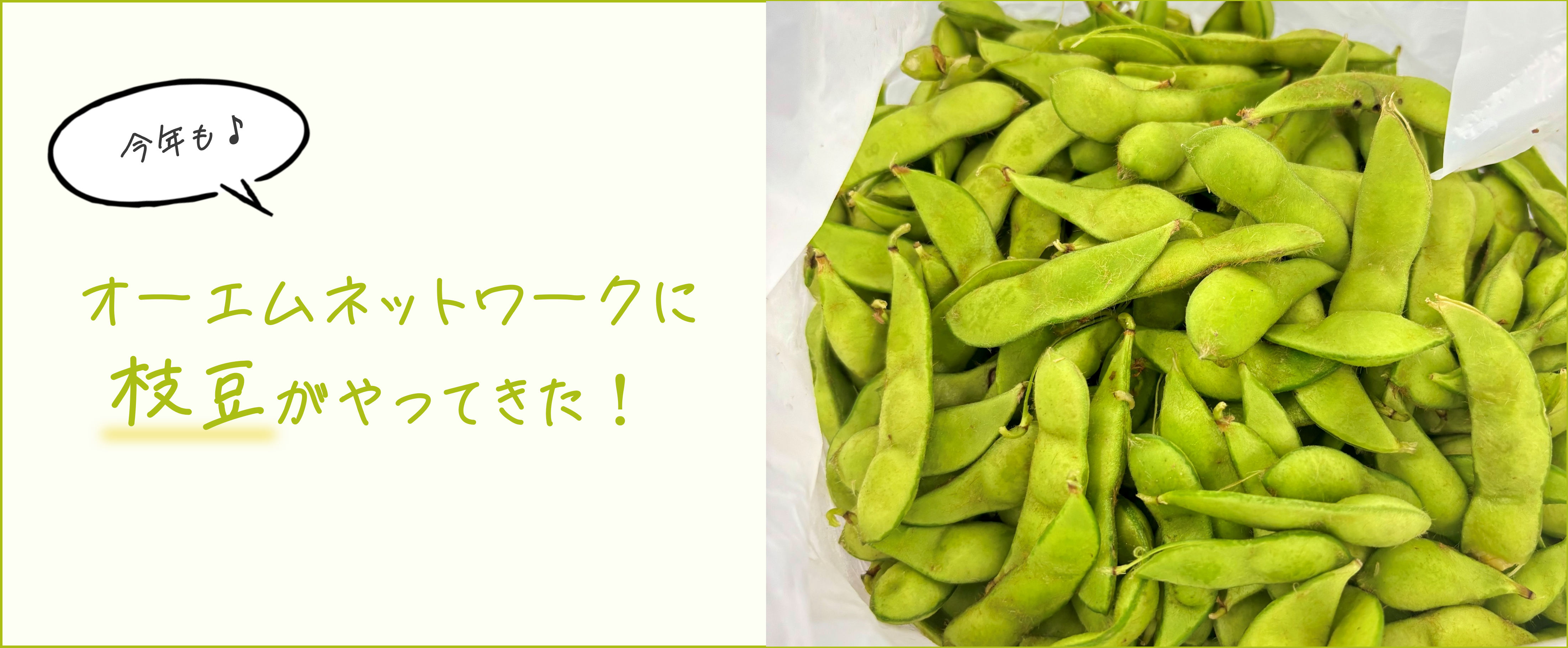 毎年恒例！オーエムネットワークに枝豆がやってきた！【人事のつぶやき20250728】