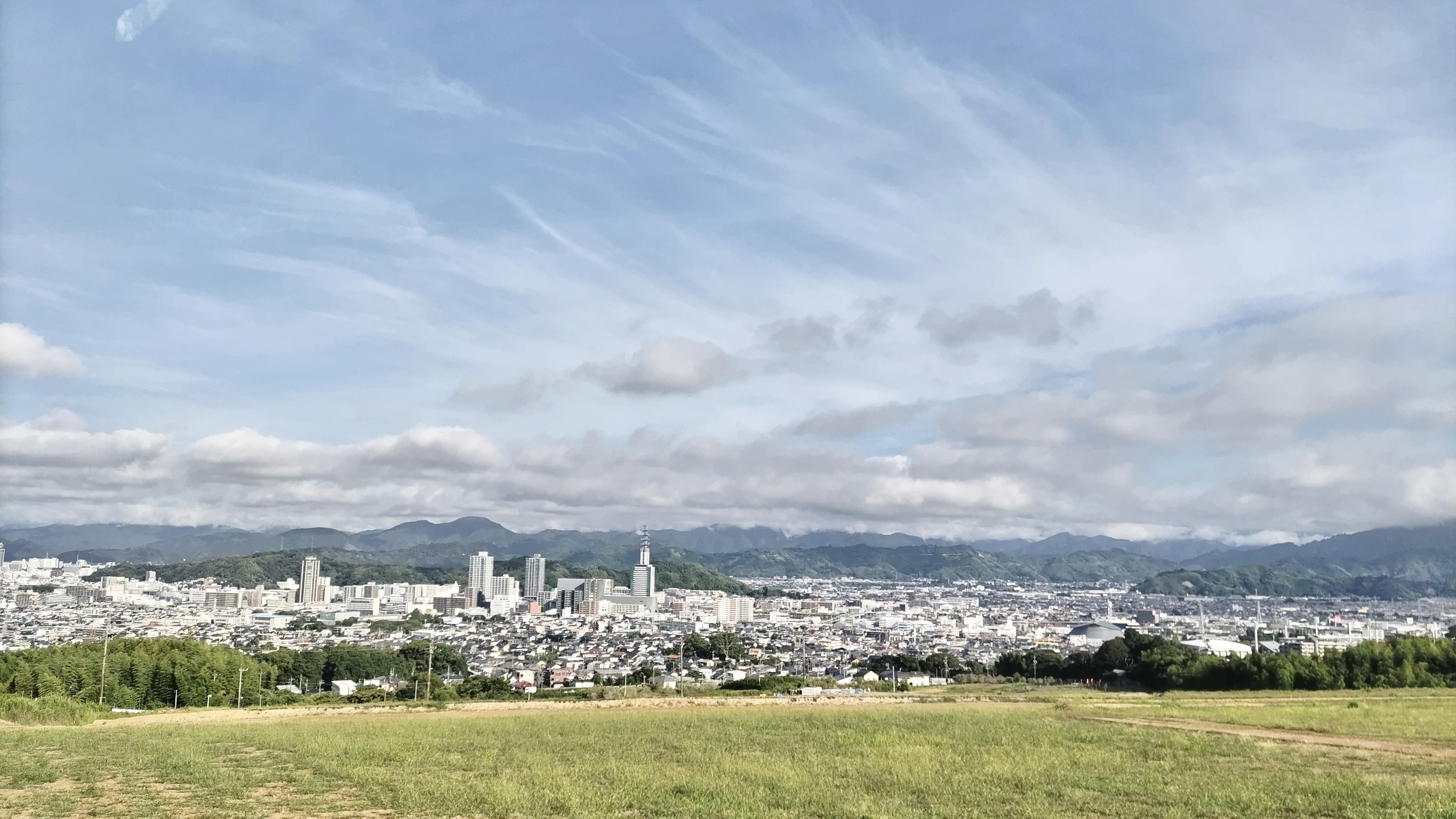 【社員紹介】左マウスで腱鞘炎!?「好き」を諦めなかった元PMの転職記