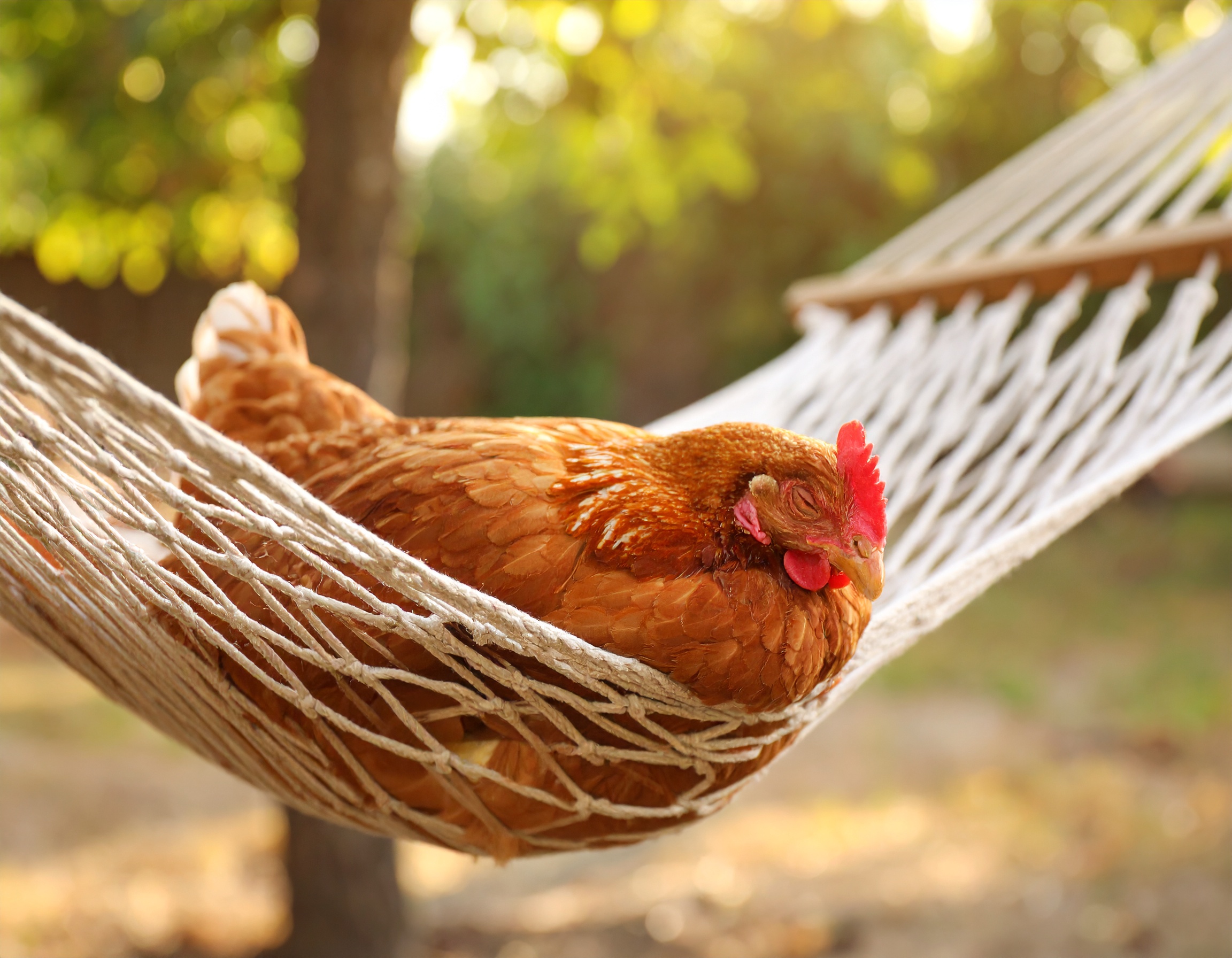 夏季休暇のご連絡