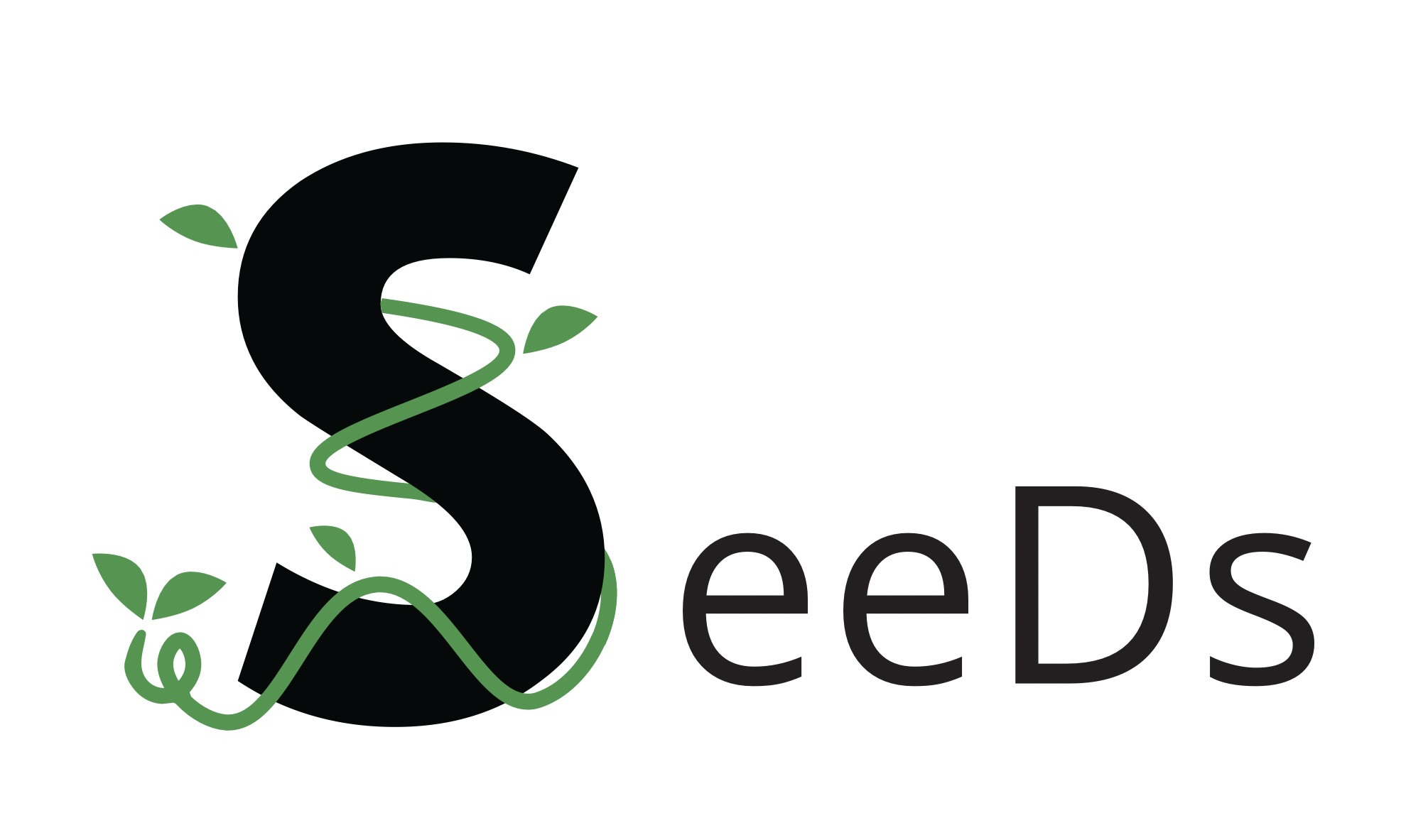 SeeDs合同会社