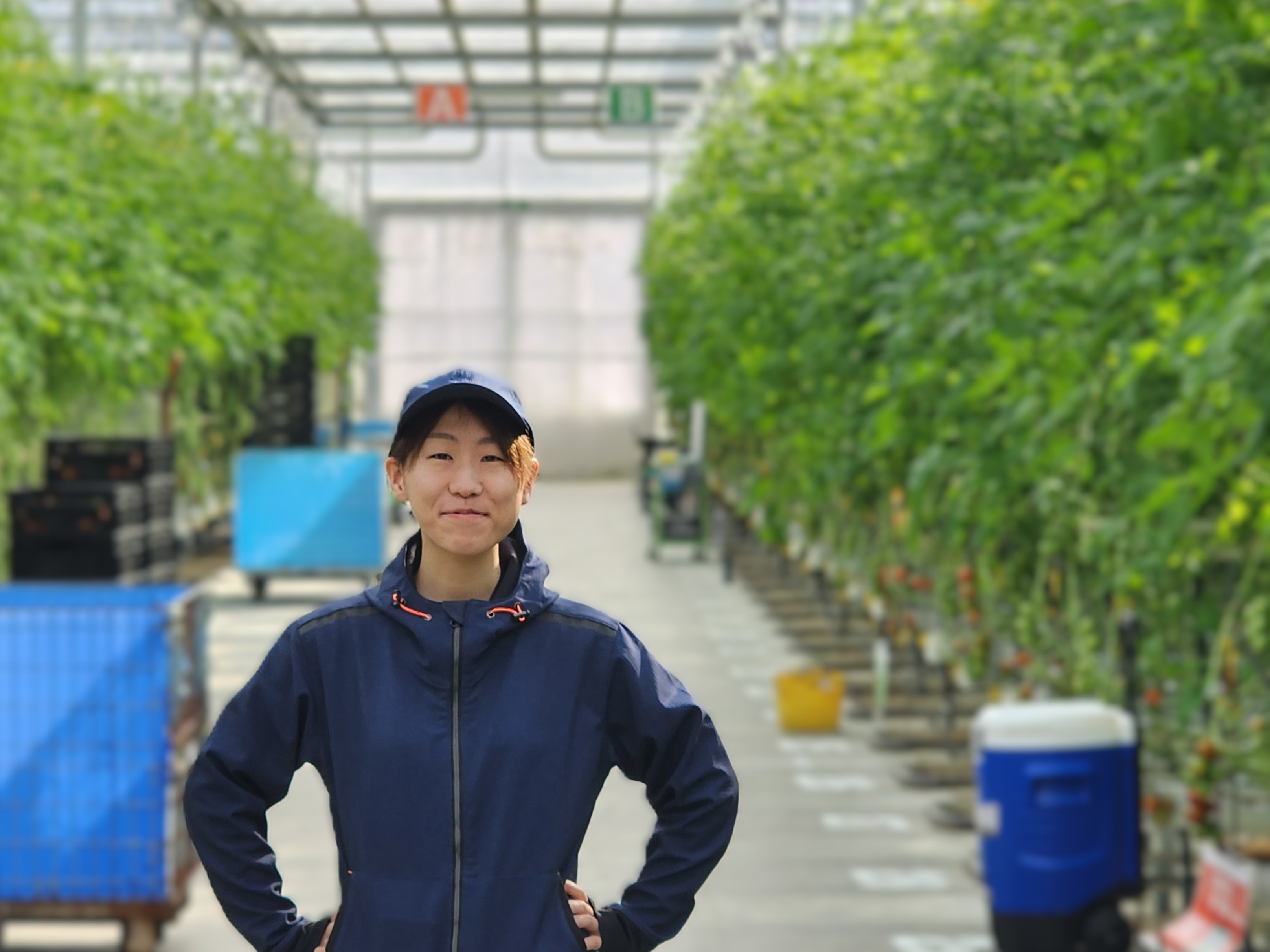 【社員インタビュー Vol.4】東北から農業を盛り上げる！女性マネージャーに聞く、サラダボウルで描く“農業の新しいカタチ”