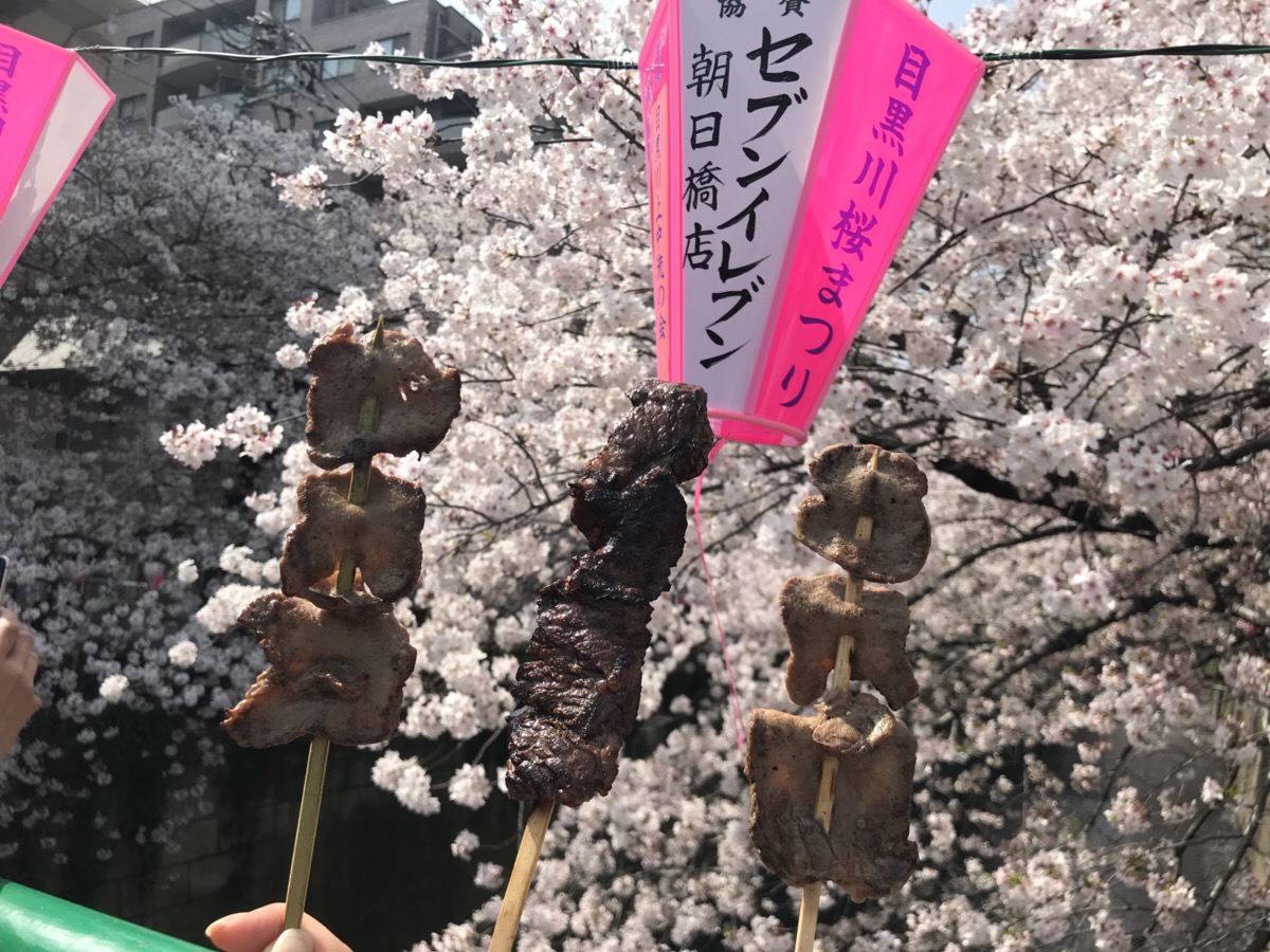 桜満開 お昼休憩にお花見をしてきました 目黒川 全力 ワクワクのイベント