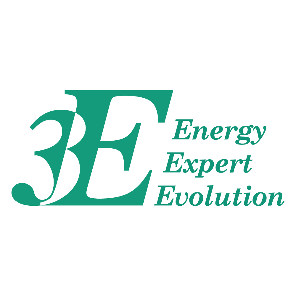 株式会社スリーイーホールディングス