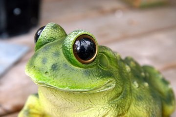 一から学べる。