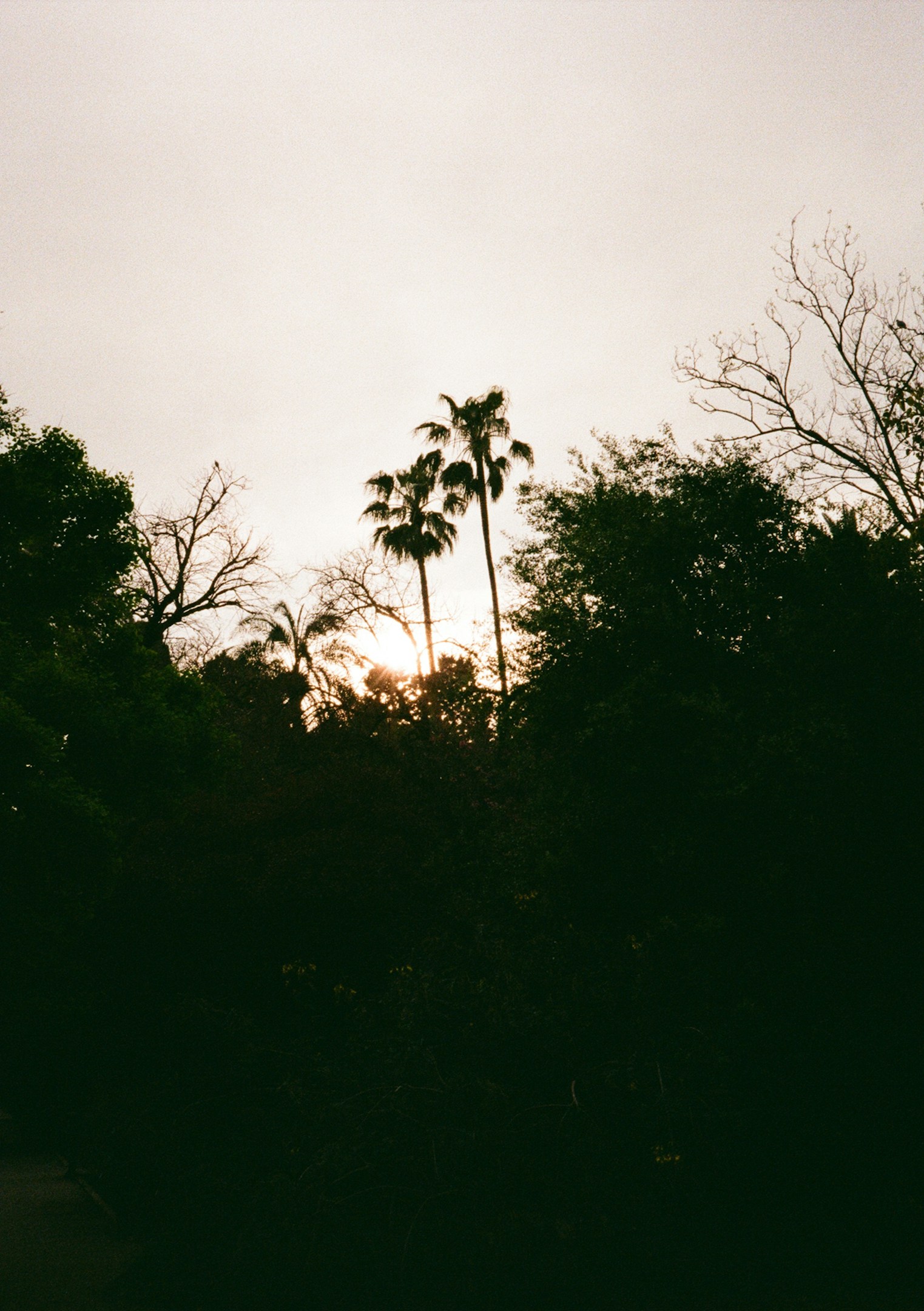 充実した制度で社員のレベルもアップ！クラフトマンソフトウェアのスキルアップ制度をご紹介！