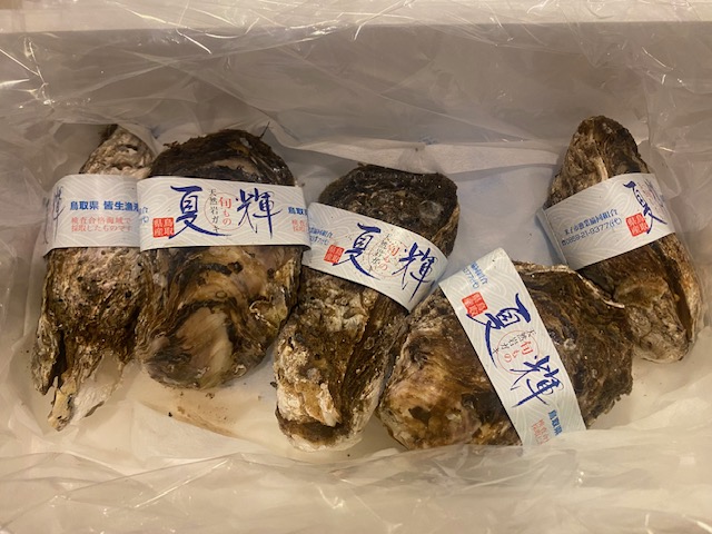 初体験
