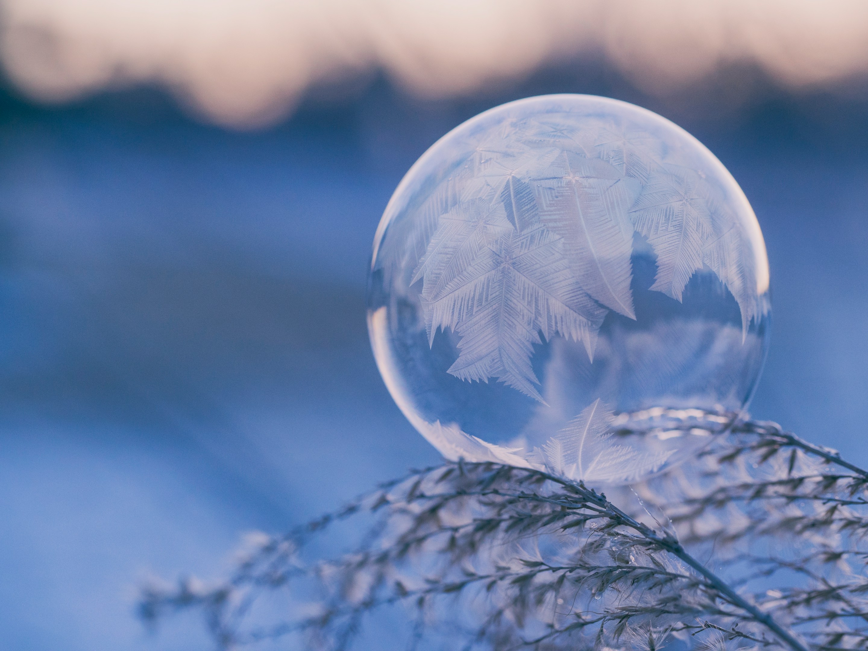 ❄️ 光熱費が驚くほど下がった家