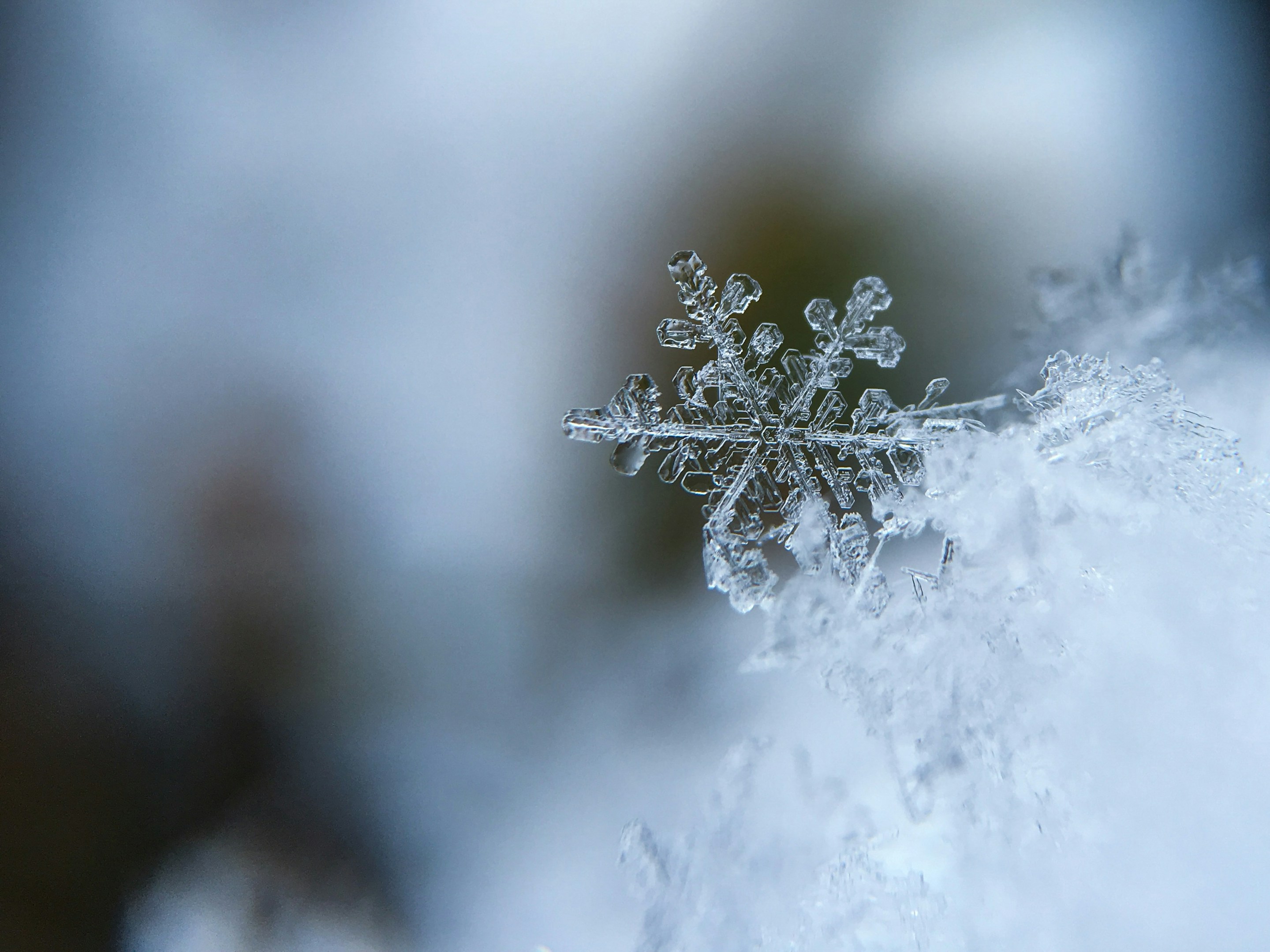 ❄️ 吹雪の日でも安心できる家