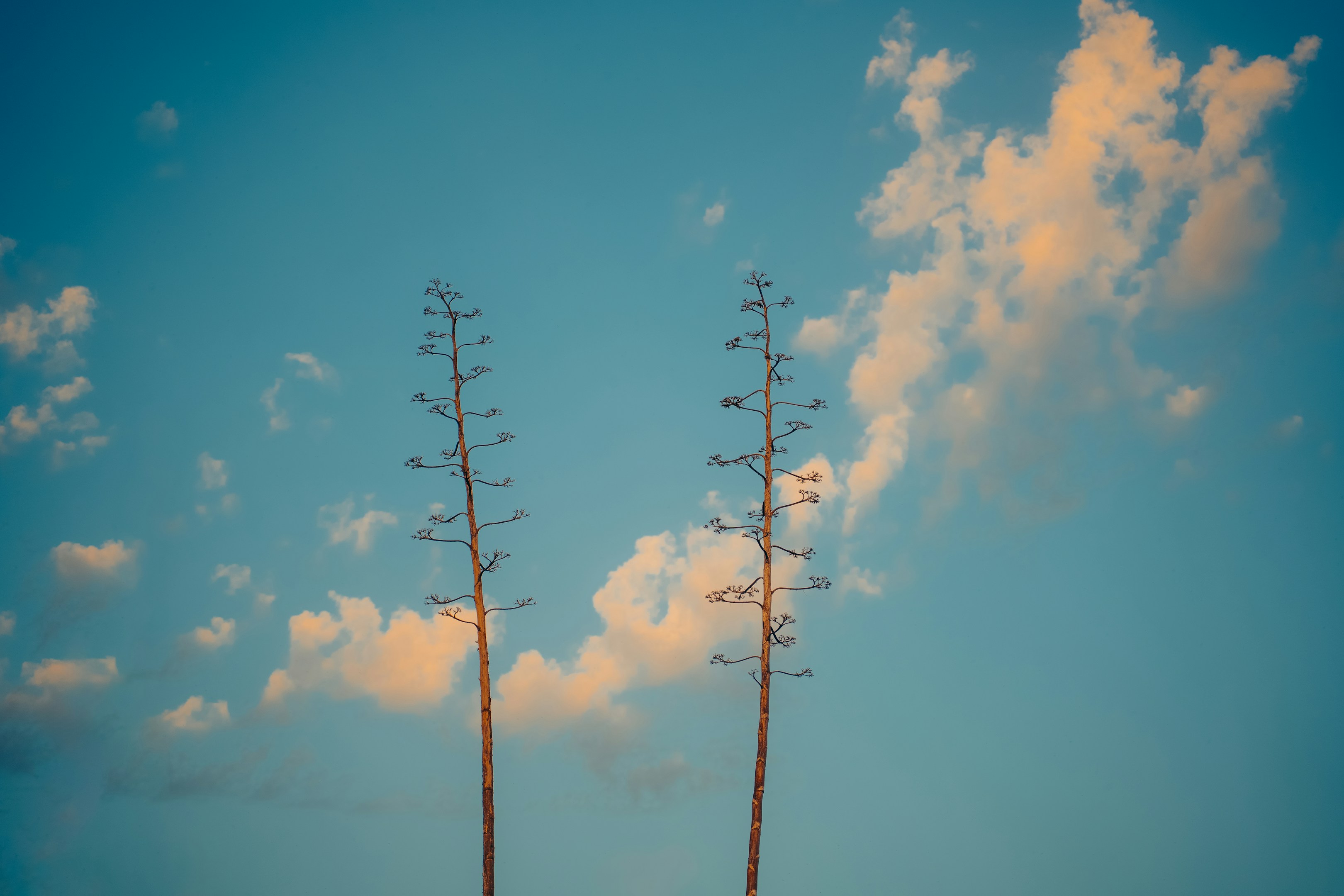なぜ“人事”という仕事を選び続けているのか