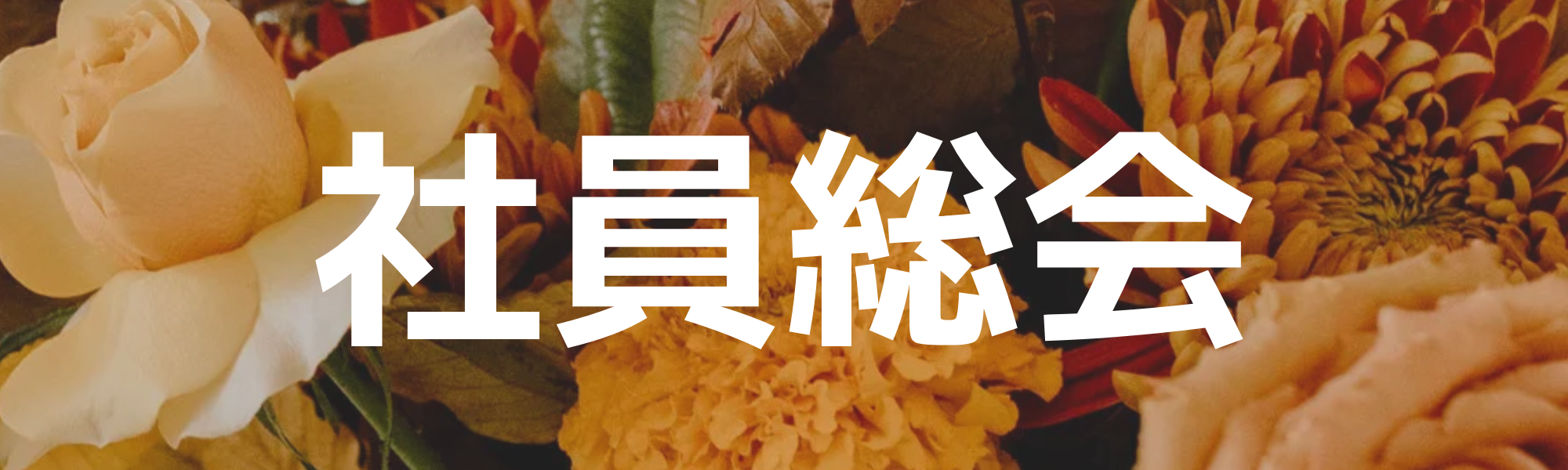 2025年度 社員総会が開催されました🥕