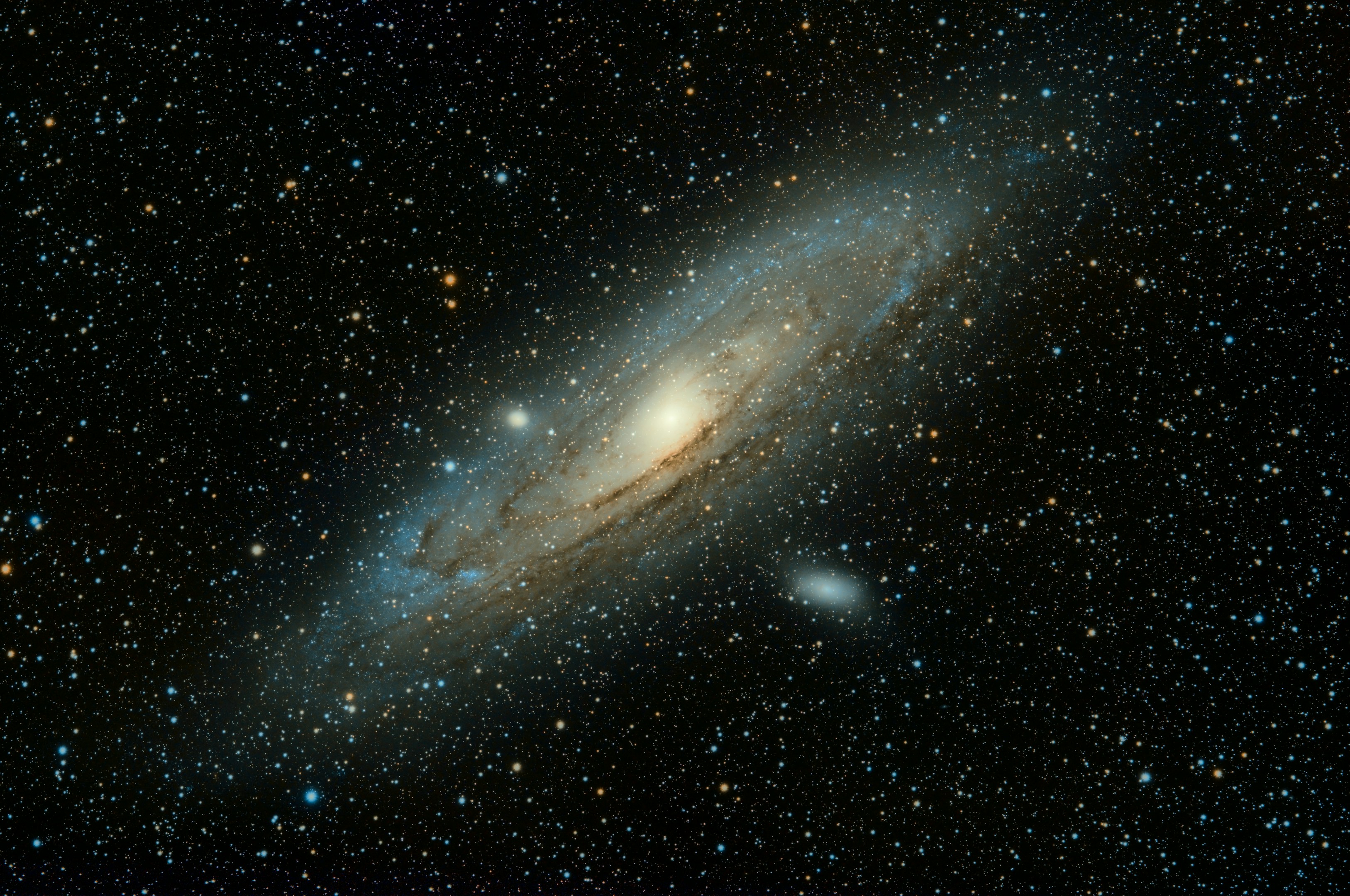 【松野翔太:堺市/教師】朝の電車は小さな宇宙