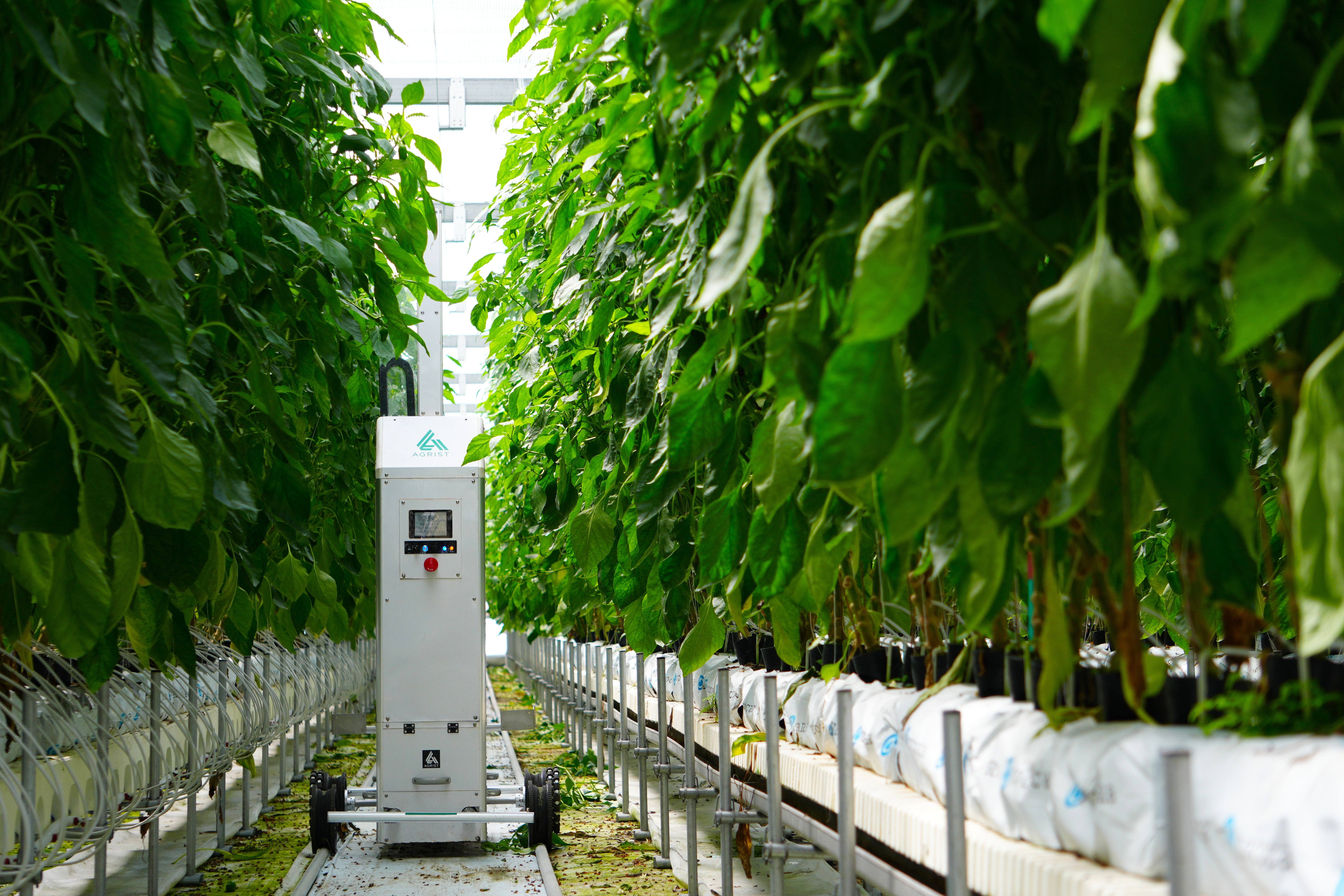 農業DXの次世代農業パッケージ『Sustagram Farm』とは