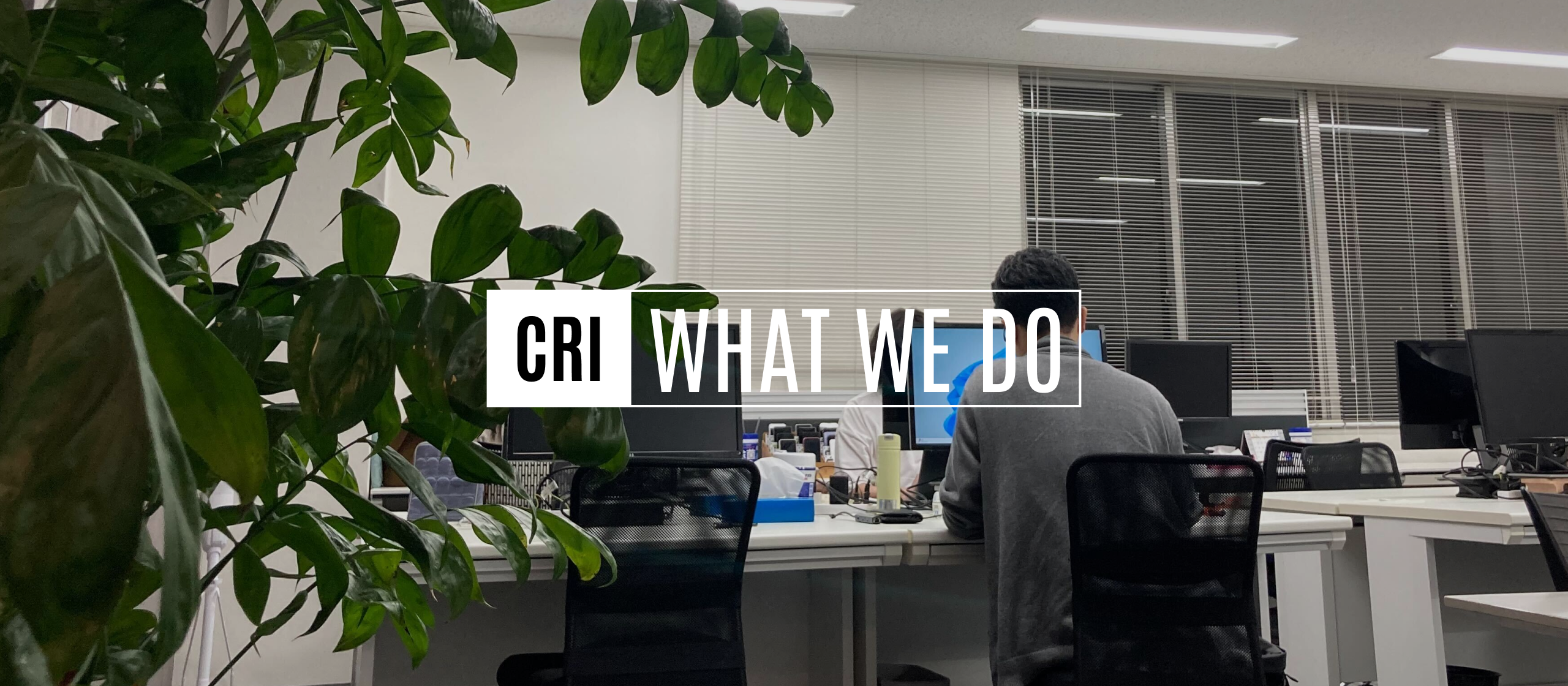 【＃今さらですが】WebエンジニアとQAエンジニア、どう違うの？