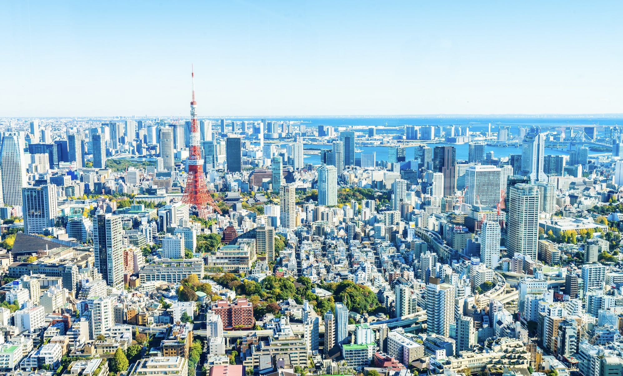 【海外メンバーインタビュー】中国の美大から日本留学、そして音楽業界へ。”挑戦の積み重ね”で切り拓いたグローバルキャリア。