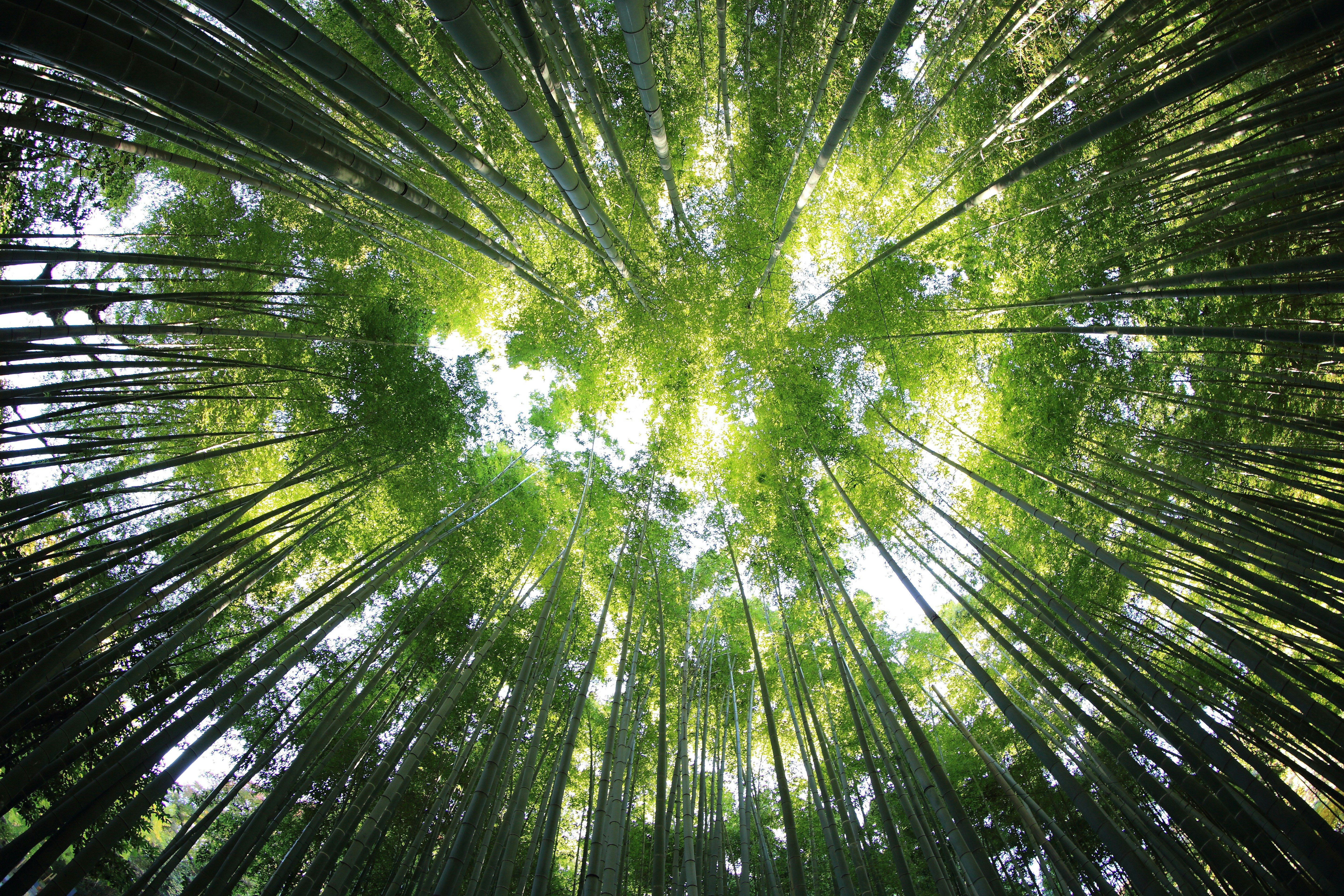 「経営者 環境力 大賞」受賞の裏側。私たちが大切にしていること。