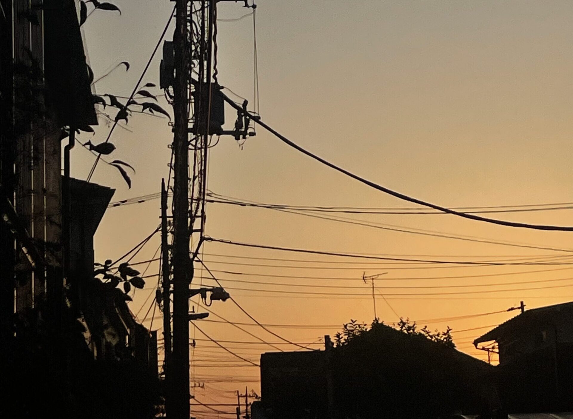 4月に入社して6カ月...