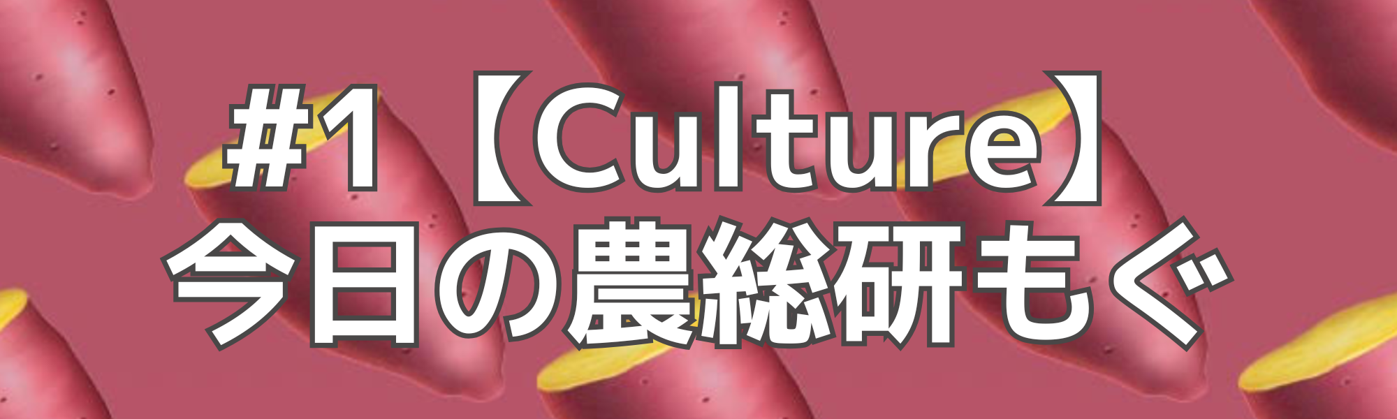 🍠今日の農総研もぐ🍠