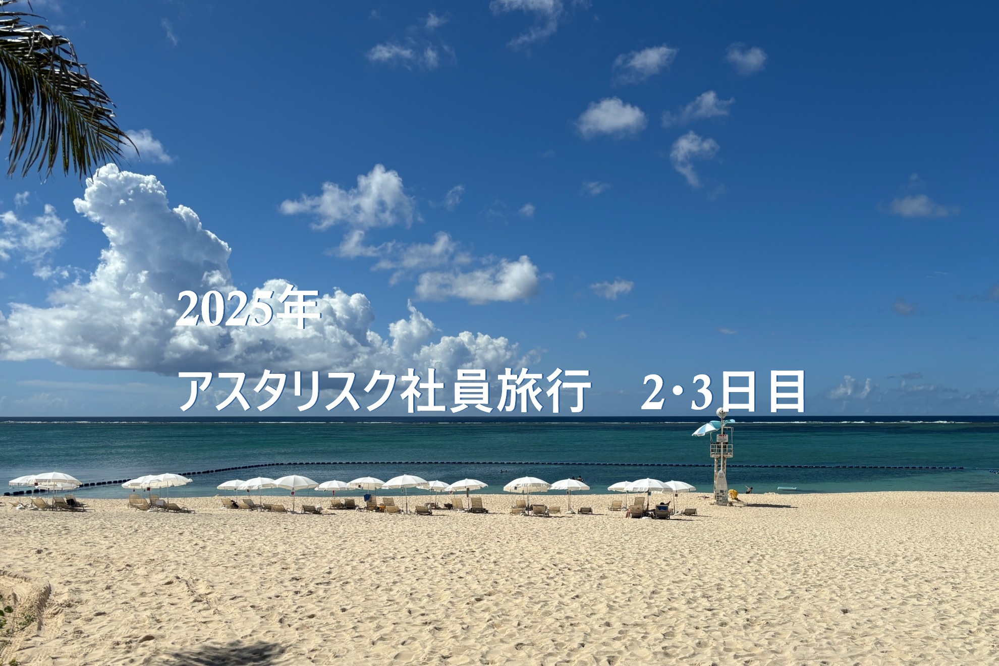 2025年 🦀沖縄社員旅行🪼 ～2・3日目～