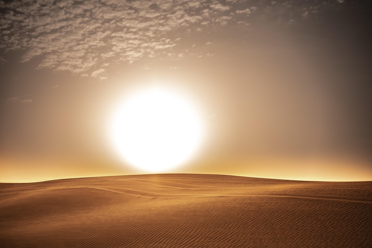 「100点満点じゃなくていい。75点でいい。」うつ病を乗り越えた代表が語る、誰もが輝ける会社の作り方。（メンバーの声も載っています）