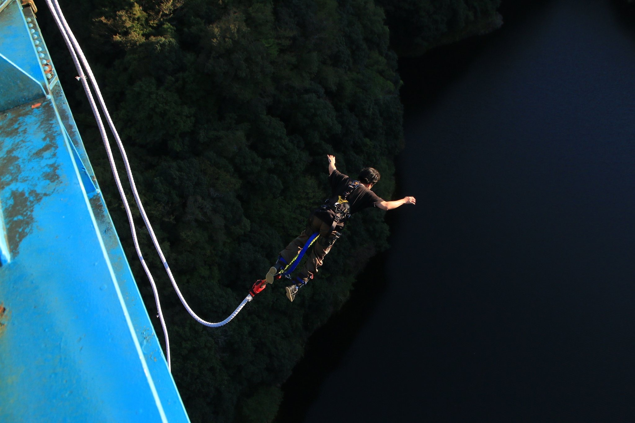 TorchUp副代表 板野昌磨のこれまでとこれから