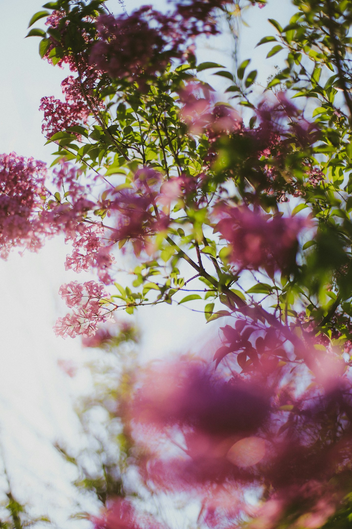 私ができること、やっていること。