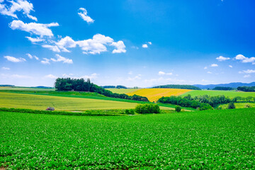 ❄️ 冬の光熱費を下げる“断熱リフォーム”のポイント