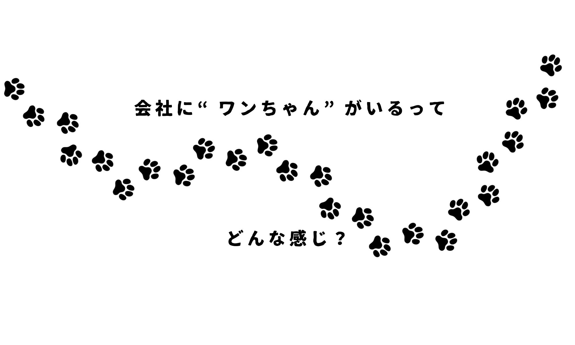 ― 穏やかで人懐っこい“看板犬”がつくる、えびす屋商事有限会社のやさしい日常 ―