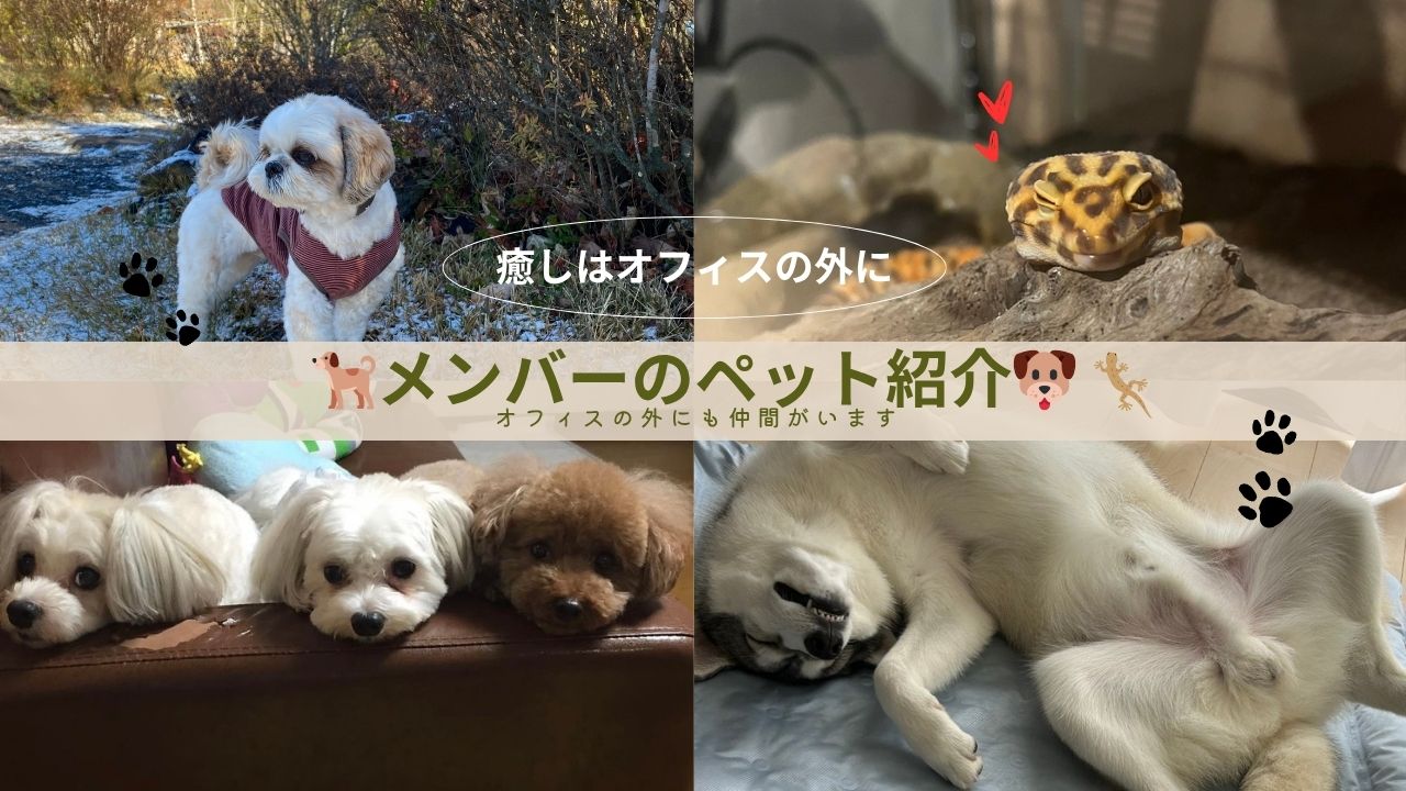 癒し担当はこの子たち！社員が自慢する可愛いペットたちのご紹介🐶