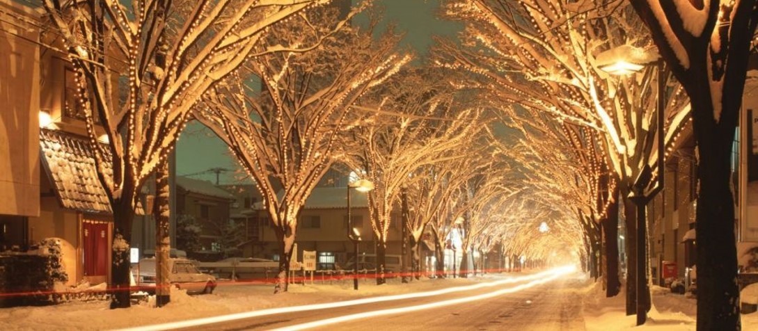 「NIIGATA光のページェント2025」協賛のお知らせ