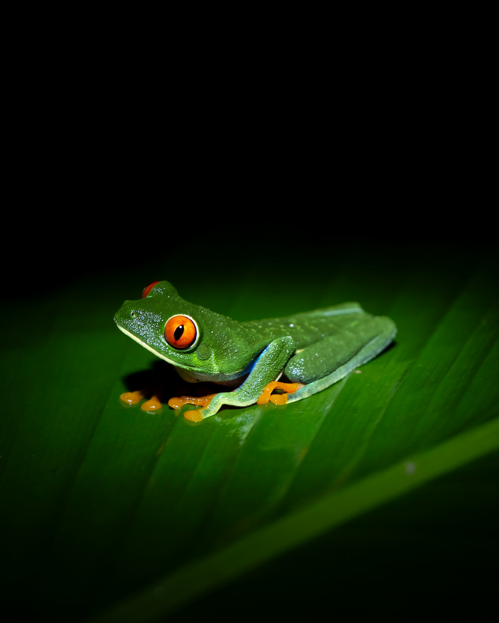 【秋山武流】広告代理店時代には見えなかった、中小企業のSNSマーケティングの可能性