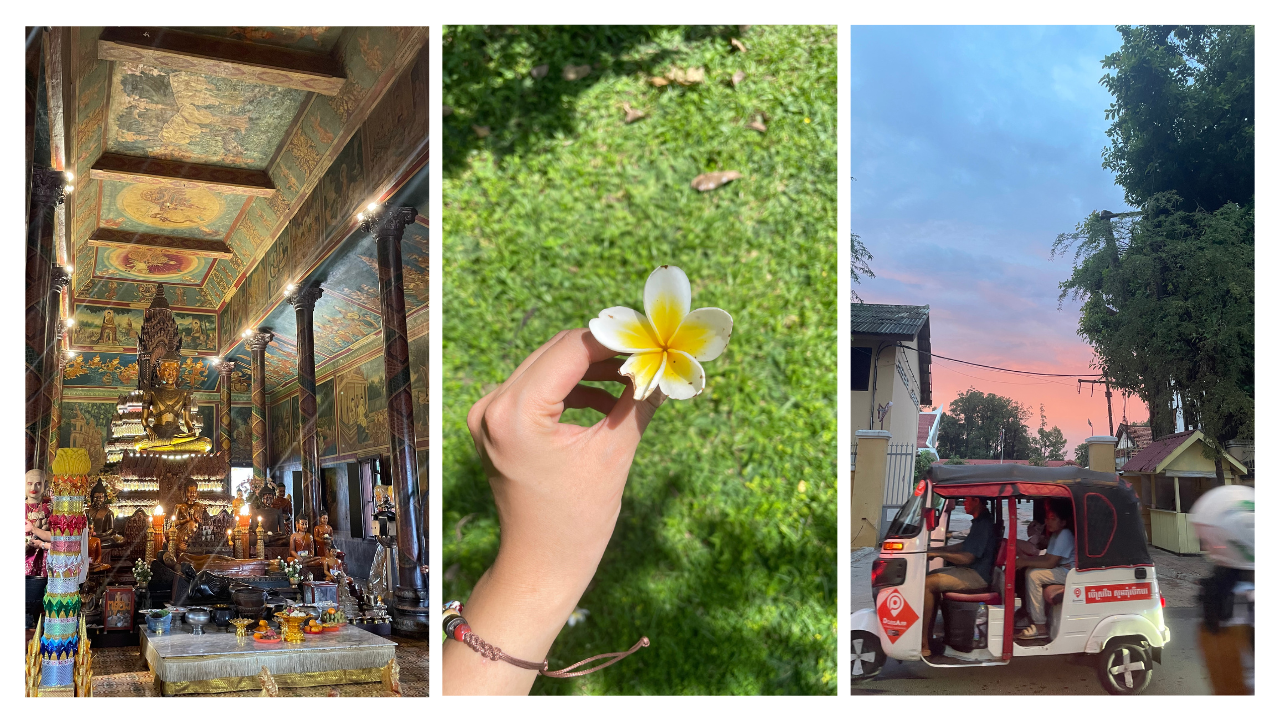 医療を届ける｜マーケティングインターン体験記