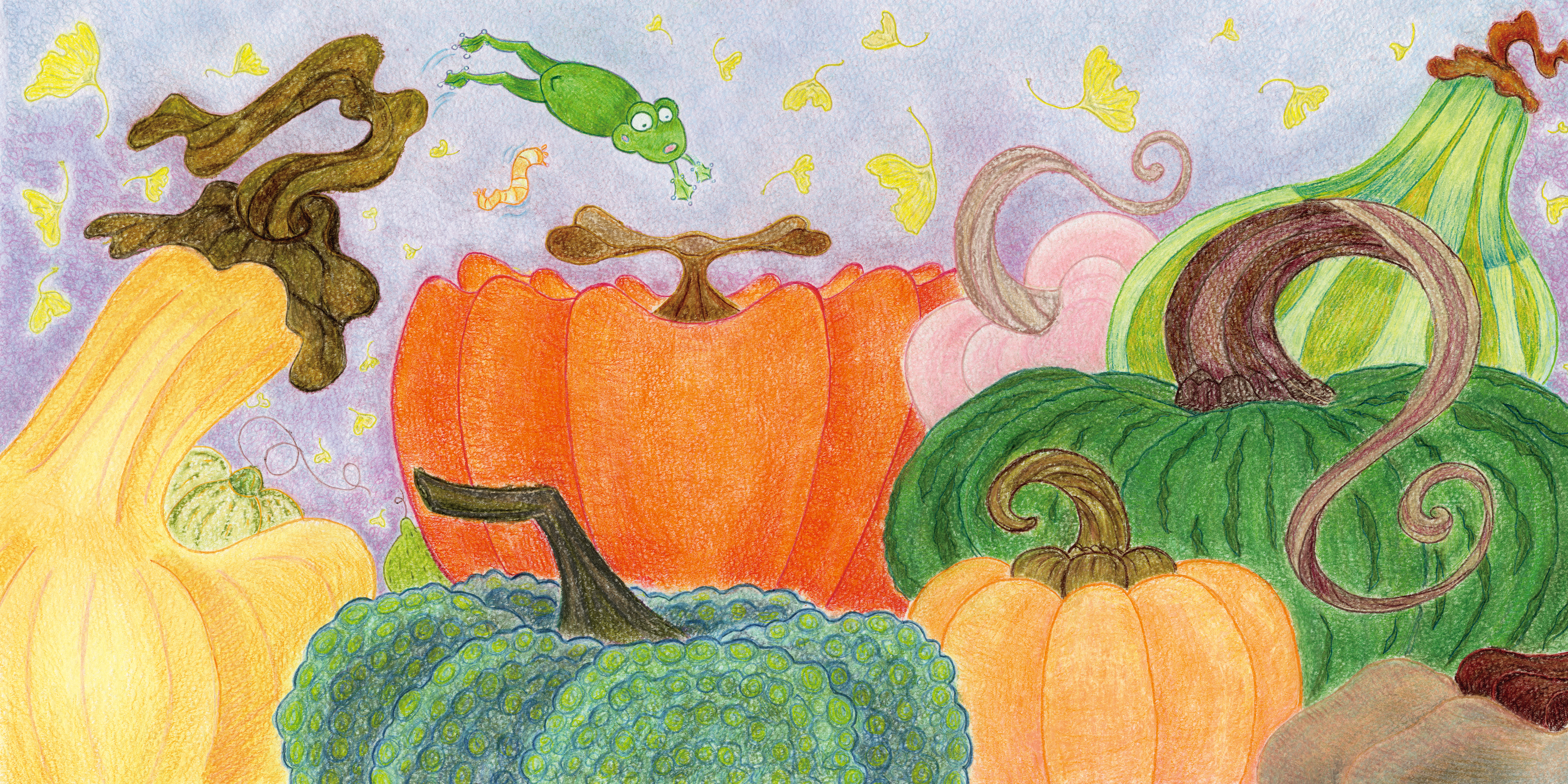 ポートフォリオ