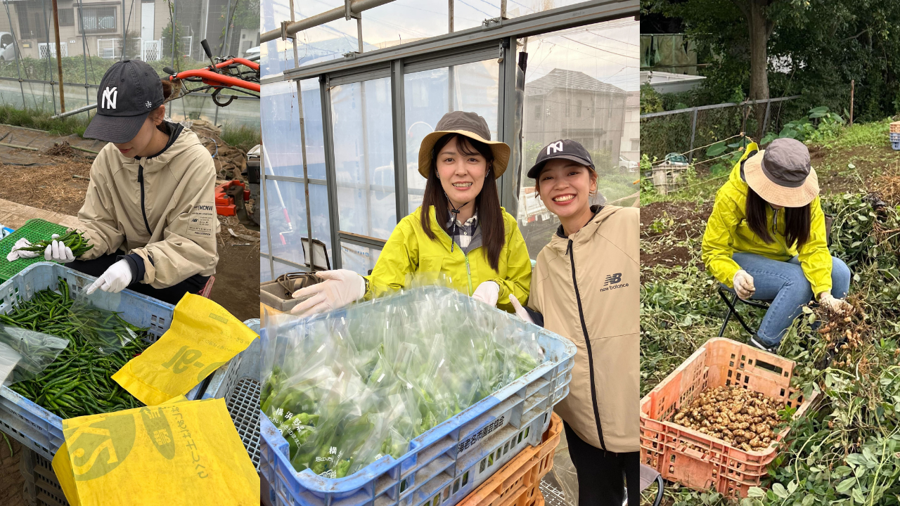🌾オフィスを飛び出して、畑へ！初めての農業体験レポ